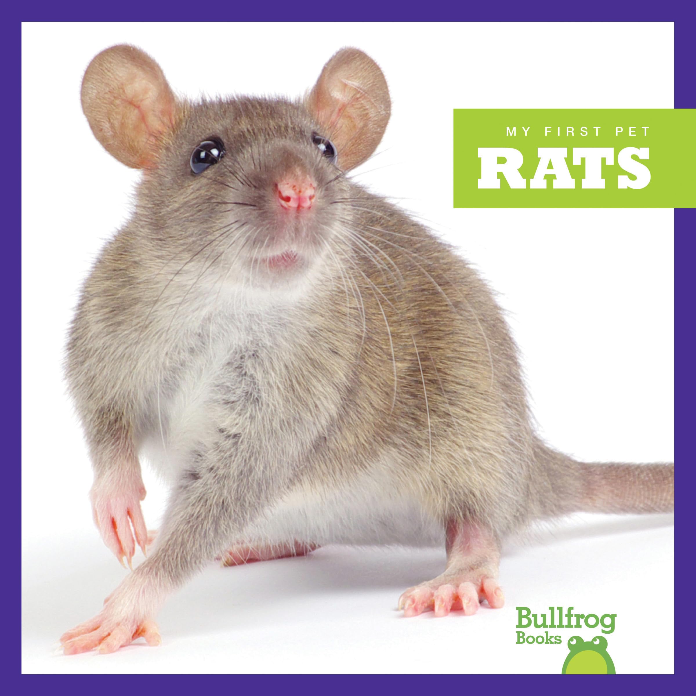 My First Pet: Rats - Bullfrog Books | Educational Kids Book About Pet Rat Care & Facts | Perfect for Classroom Reading & Young Animal Lovers