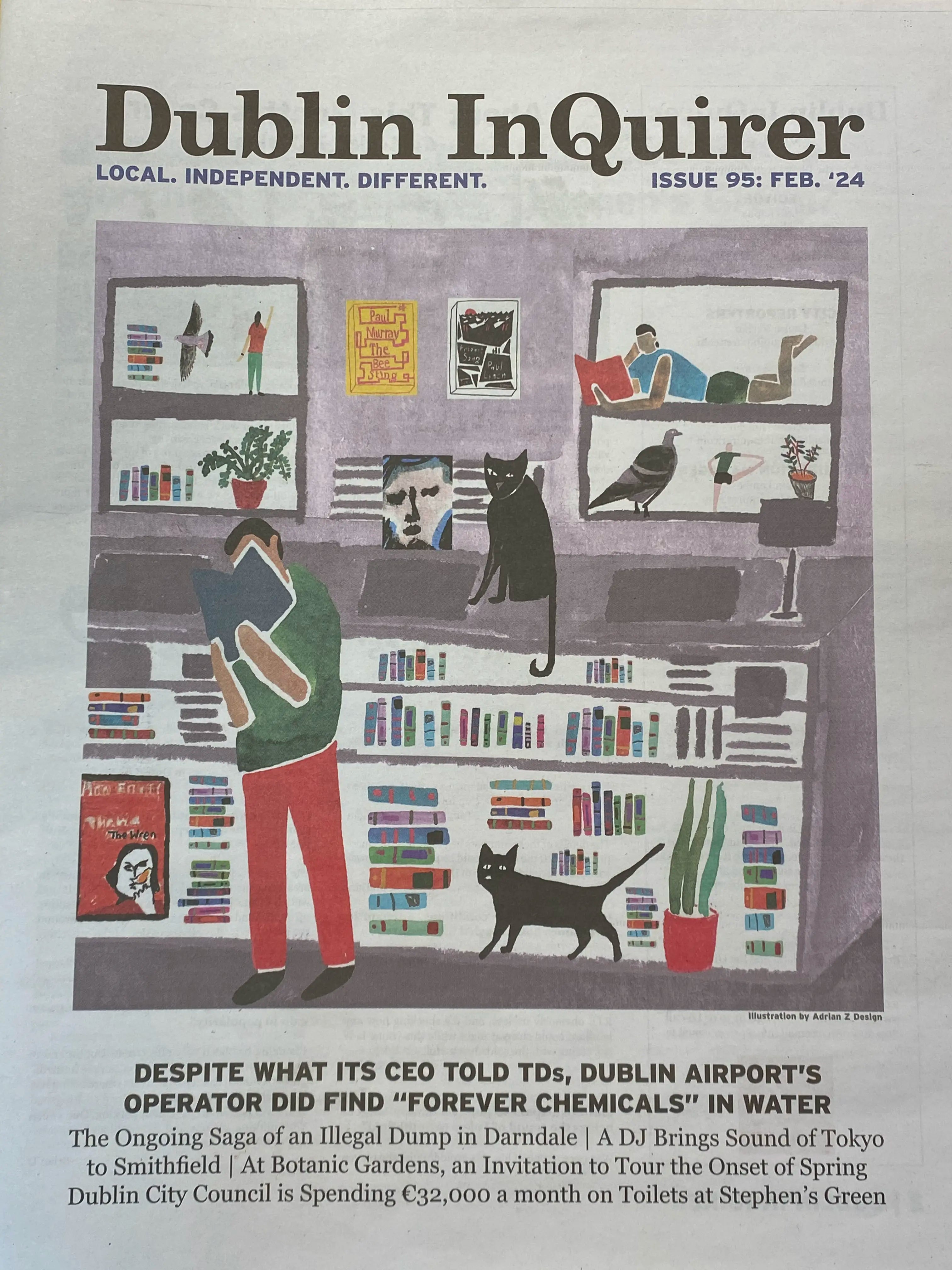 Dublin Inquirer Issue 95 - Latest Irish News & Current Affairs | Perfect for Irish Expats & News Enthusiasts