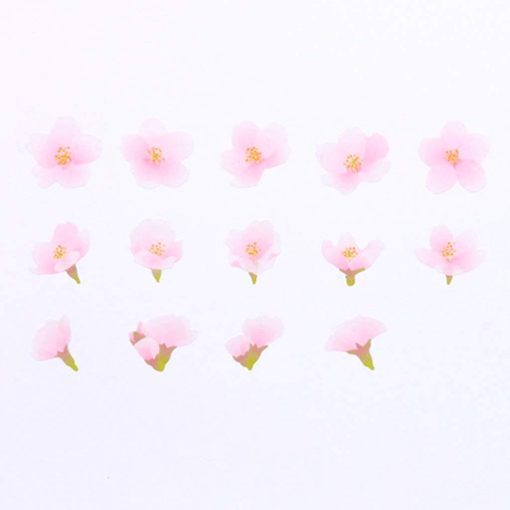 Yoshino Cherry Blossom Masking Tape Roll - Decorative Washi Sticker for Scrapbooking, DIY Crafts, Journaling & Bullet Notebooks - Perfect for Spring Decorations and Gift Wrapping