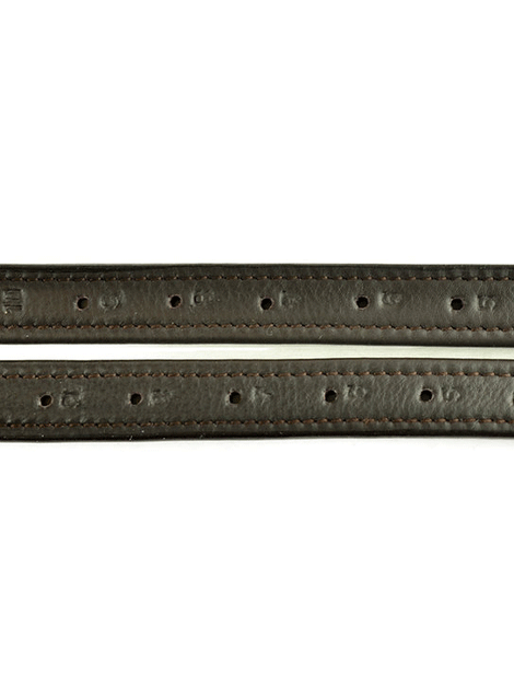 Premium Ascot Hide Covered Children's Stirrup Leathers - Durable & Comfortable Equestrian Riding Gear for Young Riders - Perfect for English Riding Lessons, Horse Shows & Pony Club Activities