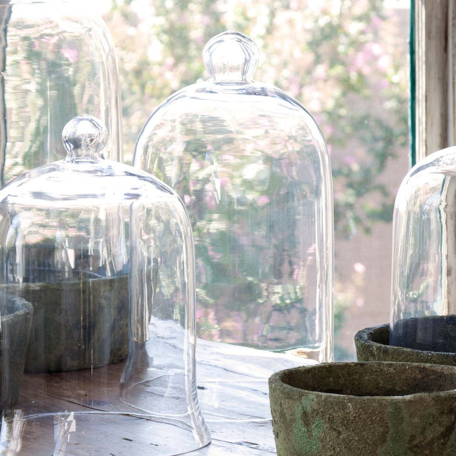 Bell Jar - Elegant Glass Cloche for Home Decor, Wedding Centerpieces & Terrariums - Perfect for Displaying Flowers, Candles & Small Plants