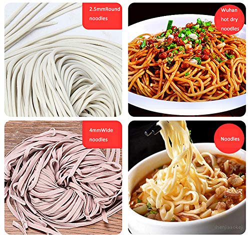TOPCHANCES 110V Electric Pasta Maker Machine - Automatic Noodle Press with 3mm & 9mm Blades, 240mm Wide Pasta Cutter for Spaghetti, Lasagna, Tagliatelle - Perfect for Italian Cuisine, Home Cooking & Restaurant Use