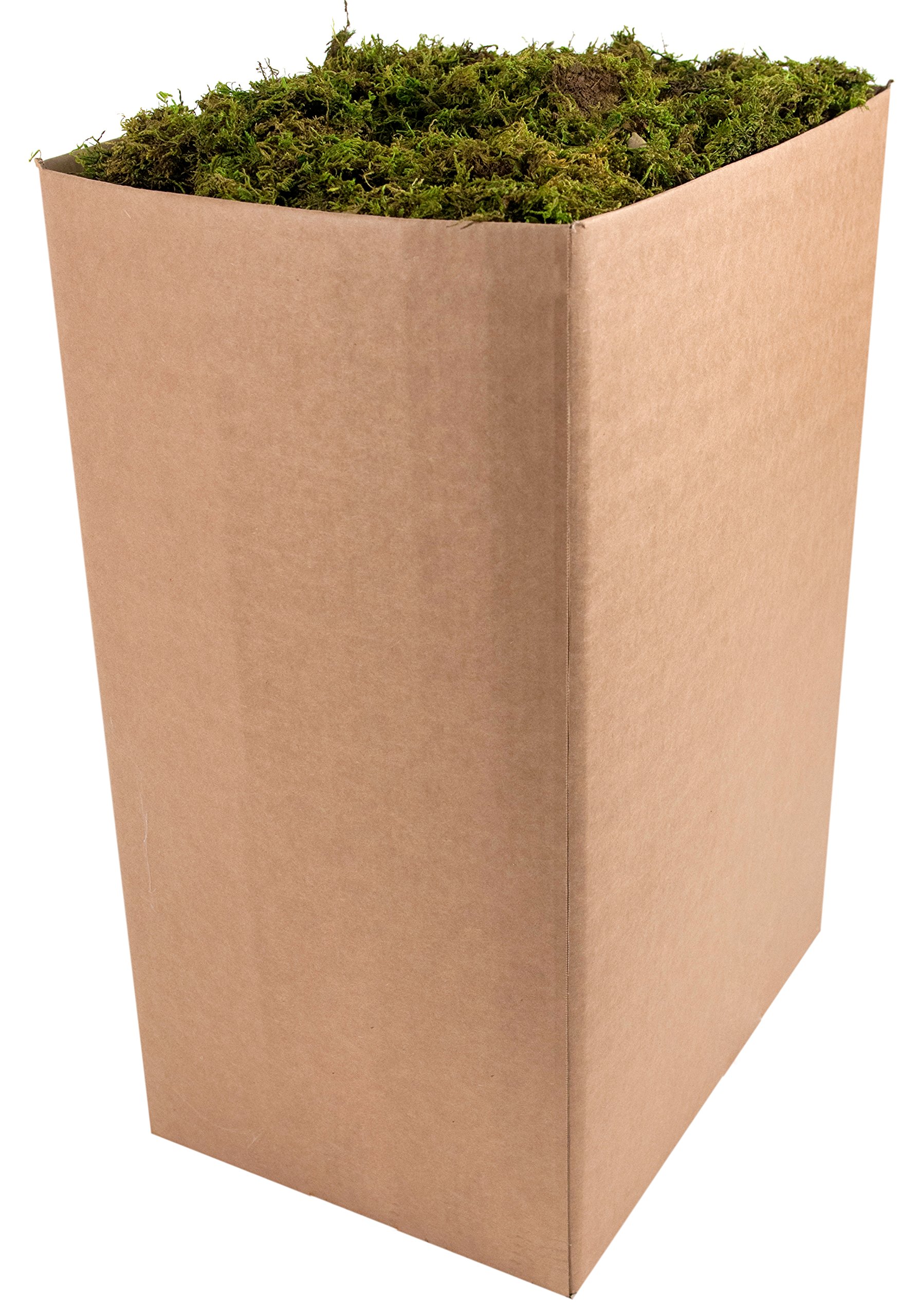 SuperMoss 21779 Preserved Sheet Moss Petite - Fresh Green, Small Pieces, 10lbs for Terrariums, Floral Arrangements & Home Decor