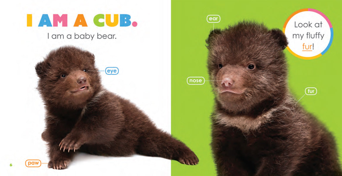 Baby Bears Book - ISBN 9781640260733 - Perfect for Bedtime Stories & Early Learning