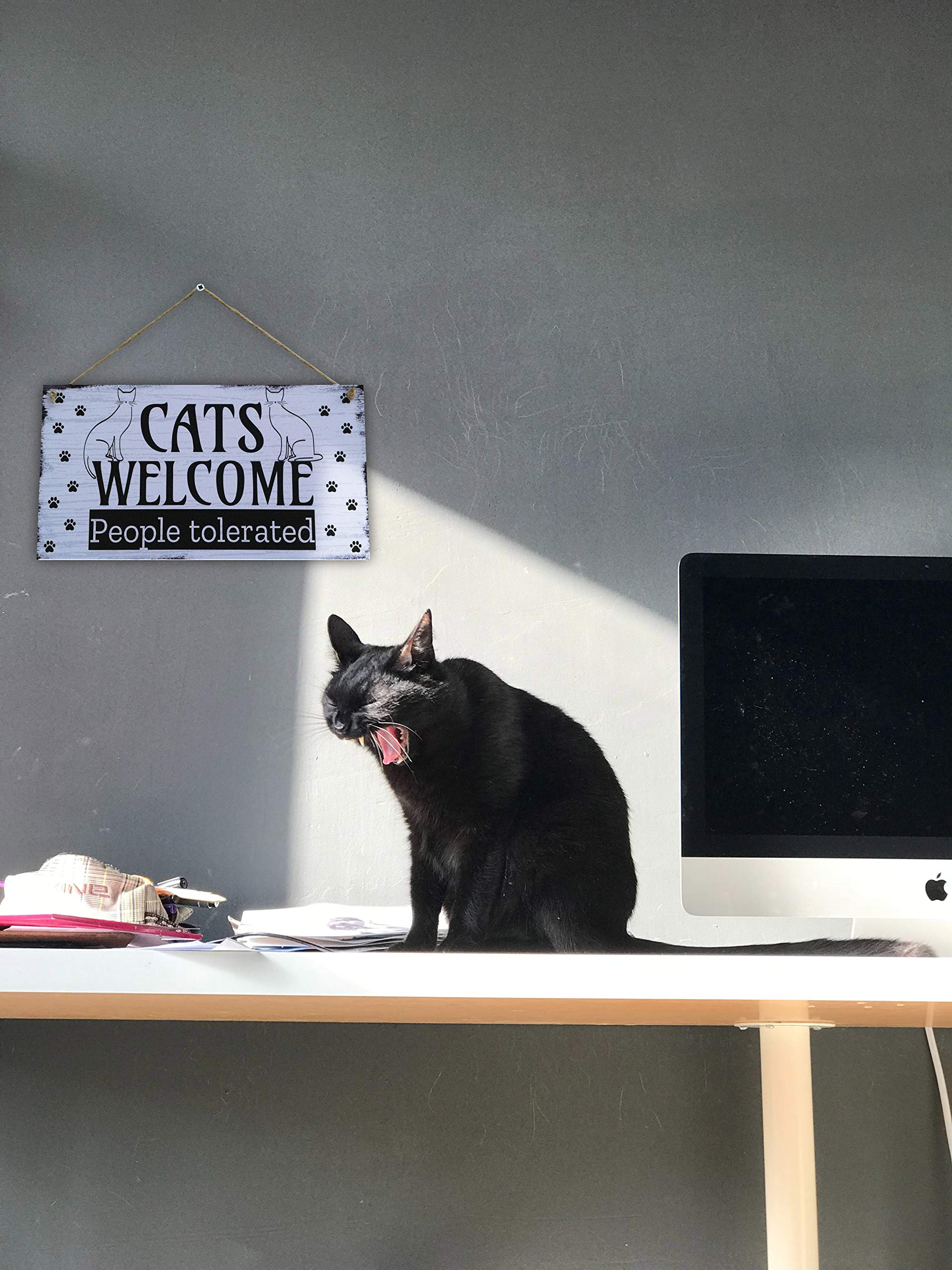 Funny Cat Welcome Sign - 6