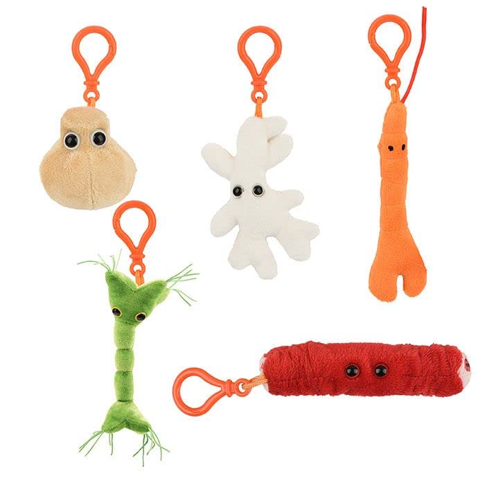 GIANTmicrobes Body Cells Themed Gift Box - Fun & Educational Biology Plush Toys for Science Teachers, Students & Biology Enthusiasts - Perfect for Classrooms, Science Decor & Nerdy Gifts