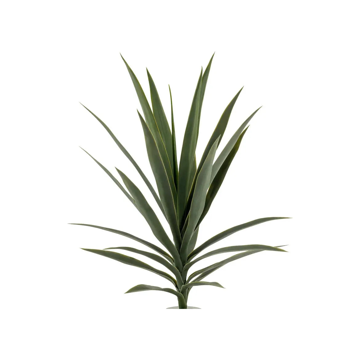 25 Pack UV Protected Yucca Bush Plants for Outdoor Landscaping, Drought Resistant Garden Decor, Perfect for Xeriscaping and Desert Gardens