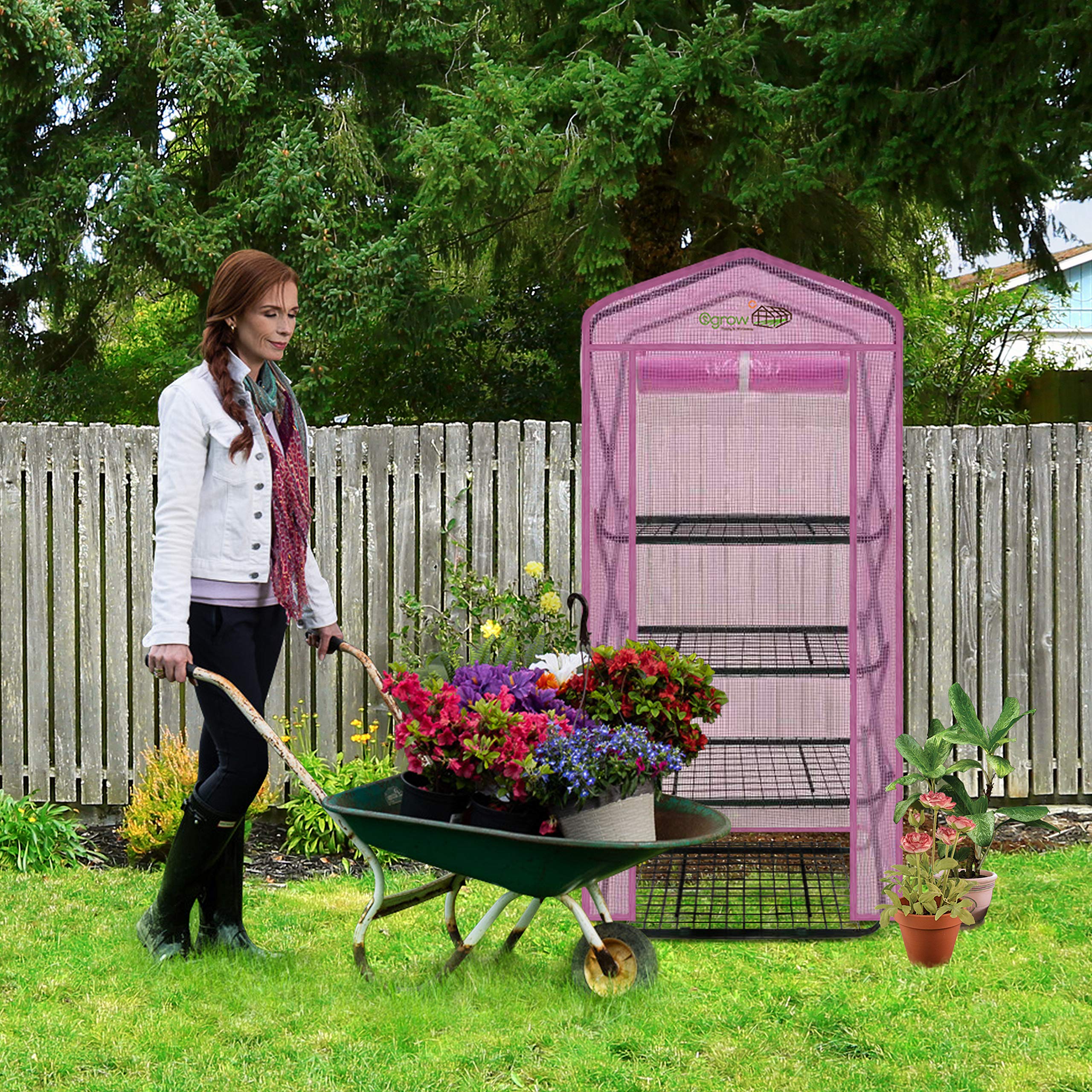 Ogrow® 4 Tier Pop-Up Greenhouse with Lilac Premium PE Cover - Portable Plant Protection for Indoor/Outdoor Gardening, Seed Starting & Plant Growing