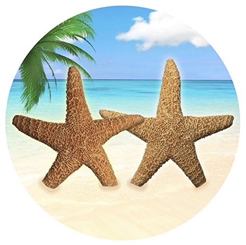 Star Fish by the Sea