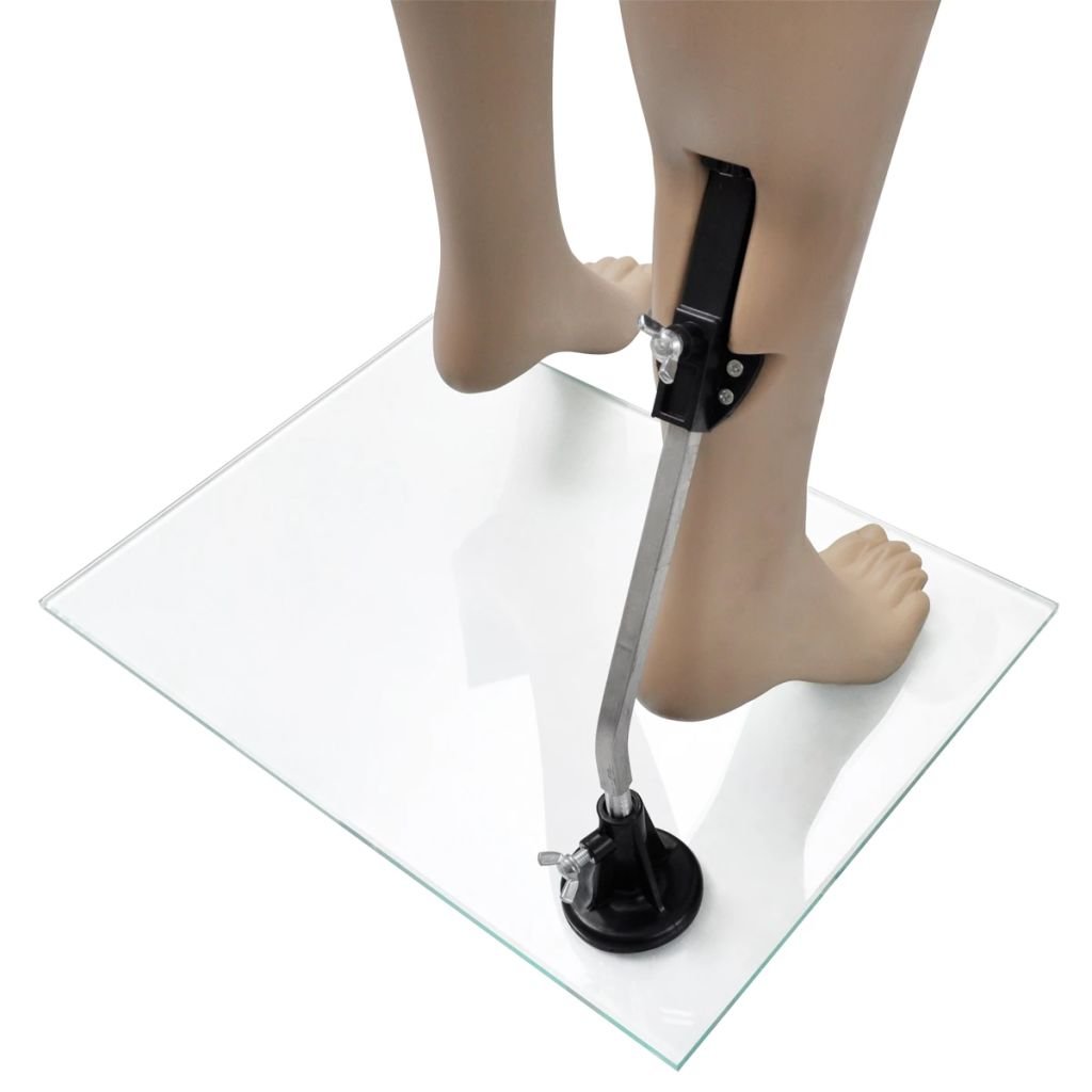 Realistic Adjustable Female Mannequin - Headless Full Body Display Model with Detachable Parts for Clothing Boutique, Fashion Store & Window Display