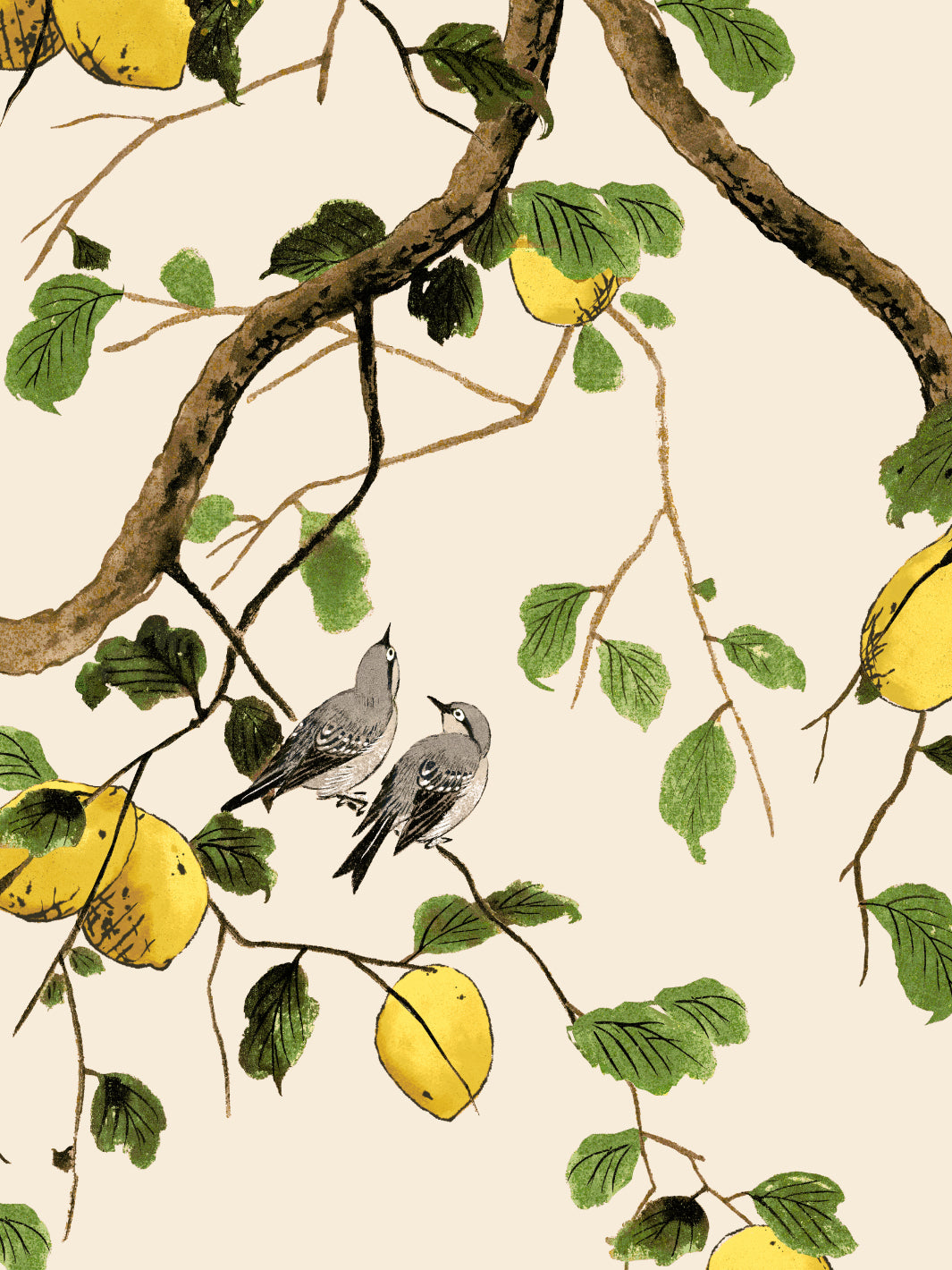 Lemon Birds Wallpaper by Nathan Turner - Beige Floral Peel and Stick Wallpaper for Bedroom, Living Room & Nursery Decor