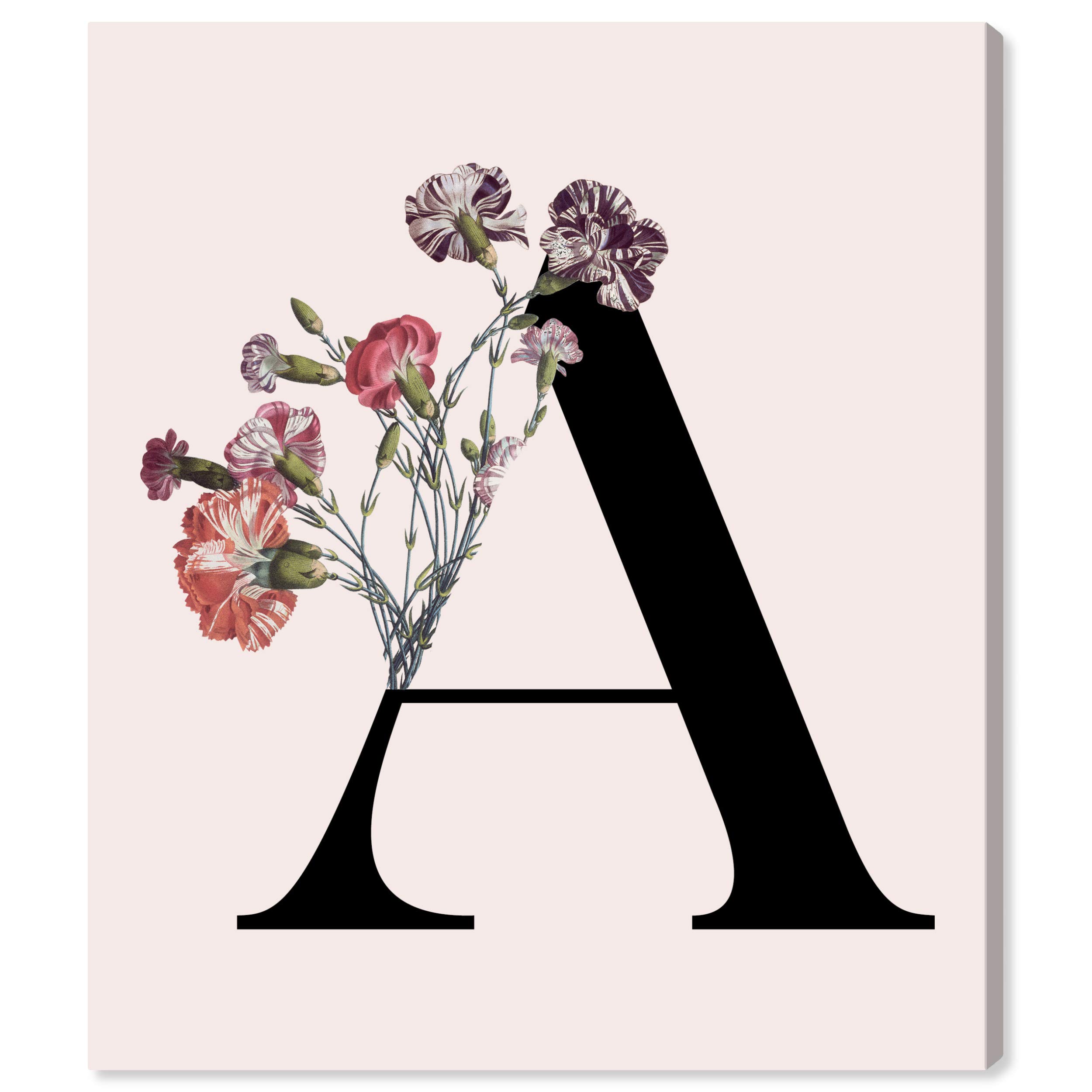 Botanical A Pink & Black Wall Art Canvas Print - 36
