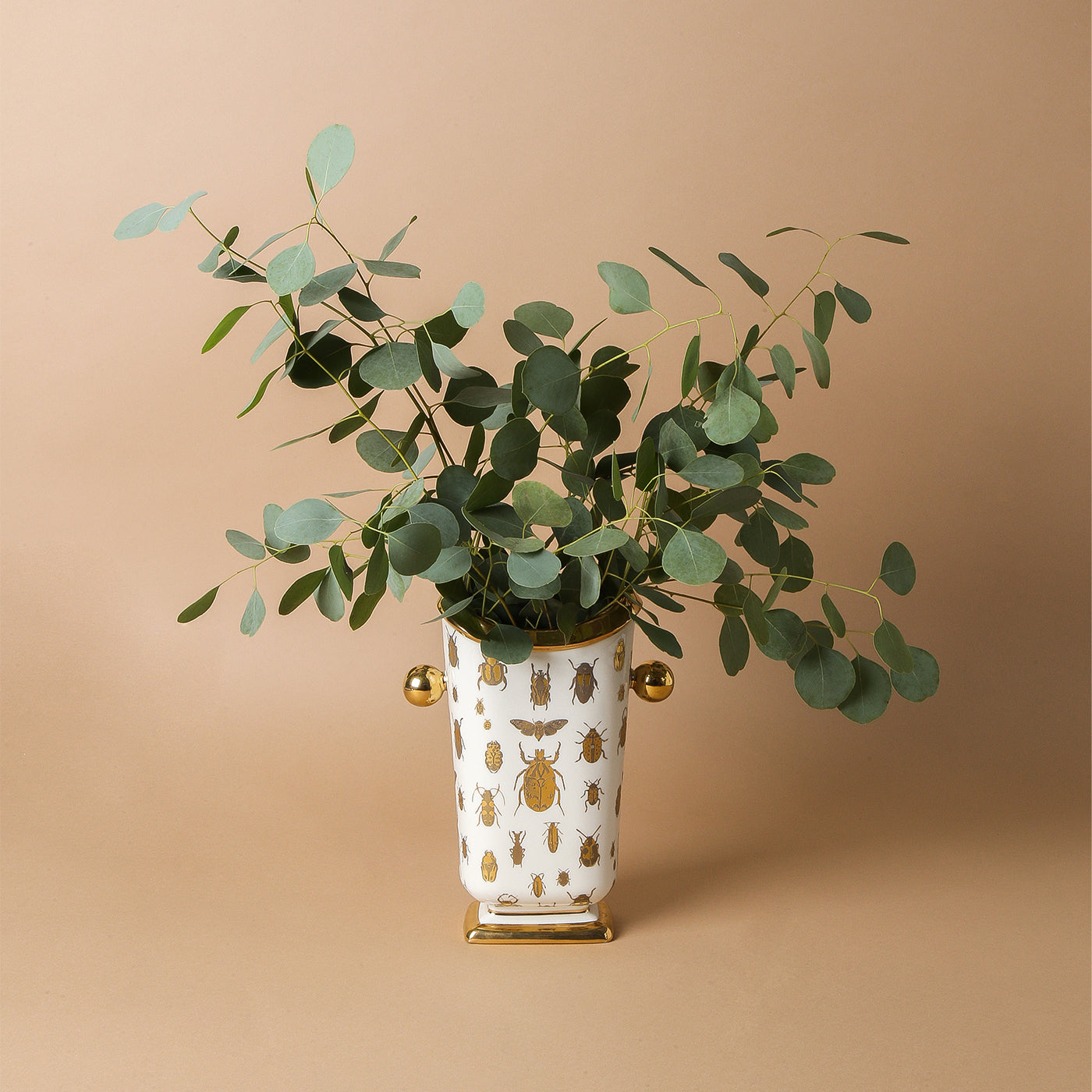 Botanical Specimen Vase - Glass Display Case for Flowers, Plants & Herbs - Perfect for Home Decor, Wedding Centerpieces & Science Classrooms
