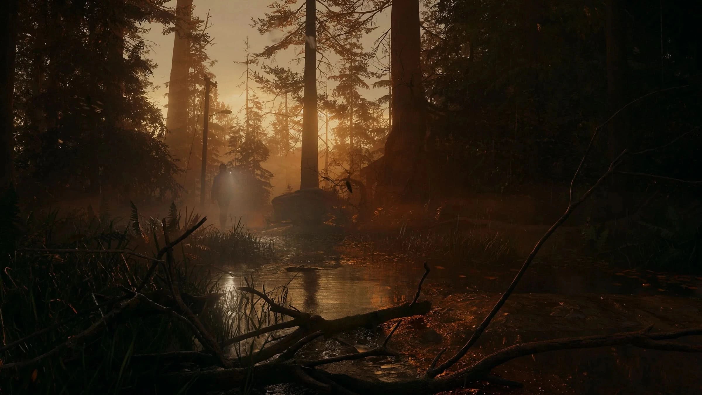 Alan Wake 2 Deluxe Edition for PlayStation 5 (PS5) - Horror Survival Game with Exclusive Content | Perfect for Thriller Fans & Late-Night Gaming Sessions