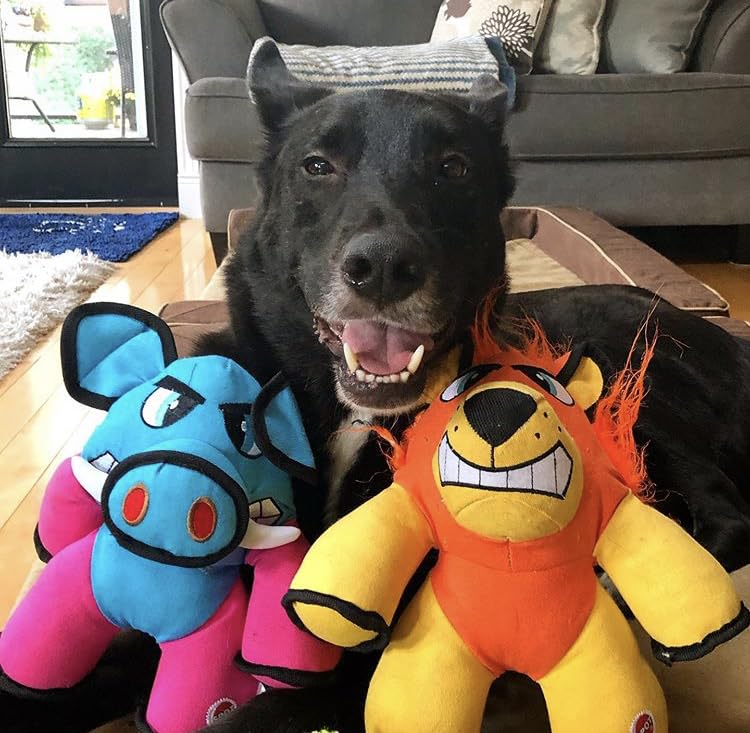 SPOT Beefy BRUTES Durable 10-inch Dog Chew Toy for Aggressive Chewers - Tough Chew Toys for Large Dogs, Puppy Teething & Playtime Fun