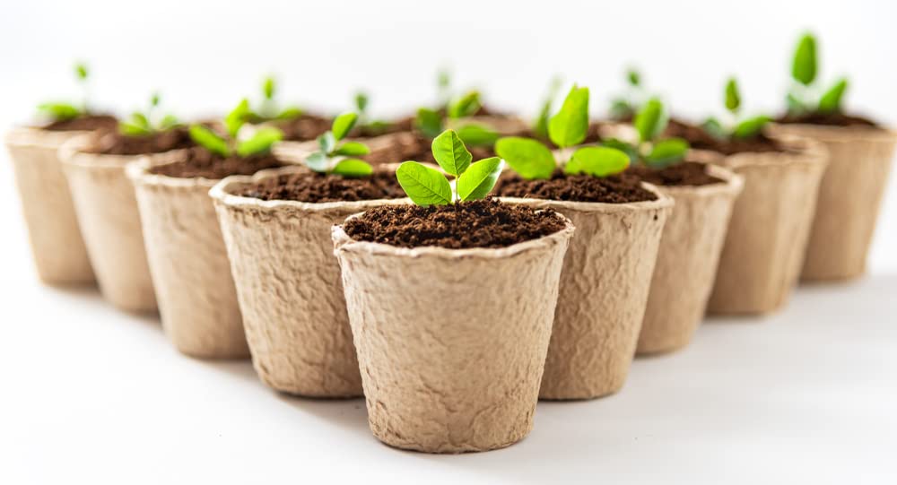 3 Inch Biodegradable Starter Pots - 50 Pack Eco-Friendly Plant Containers for Herbs, Trees, Vegetables, Bonsai & Fruit Seedlings - Perfect for Indoor Gardening, Greenhouses & Home Nurseries