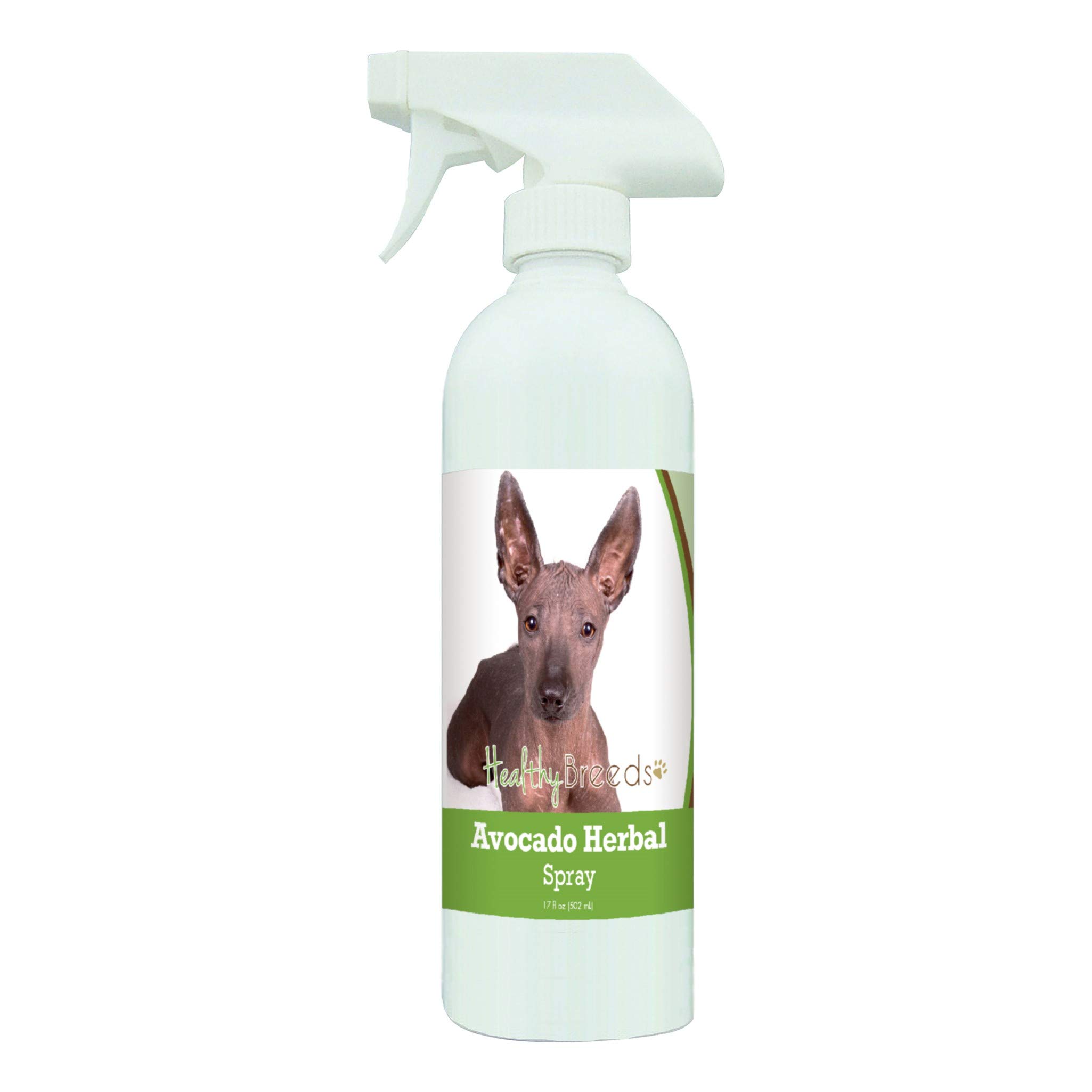 Healthy Breeds Xoloitzcuintli Avocado Herbal Dog Spray 17 oz - Natural Skin & Coat Care for Dogs - Perfect for Itch Relief, Dry Skin & Odor Control at Home or Travel
