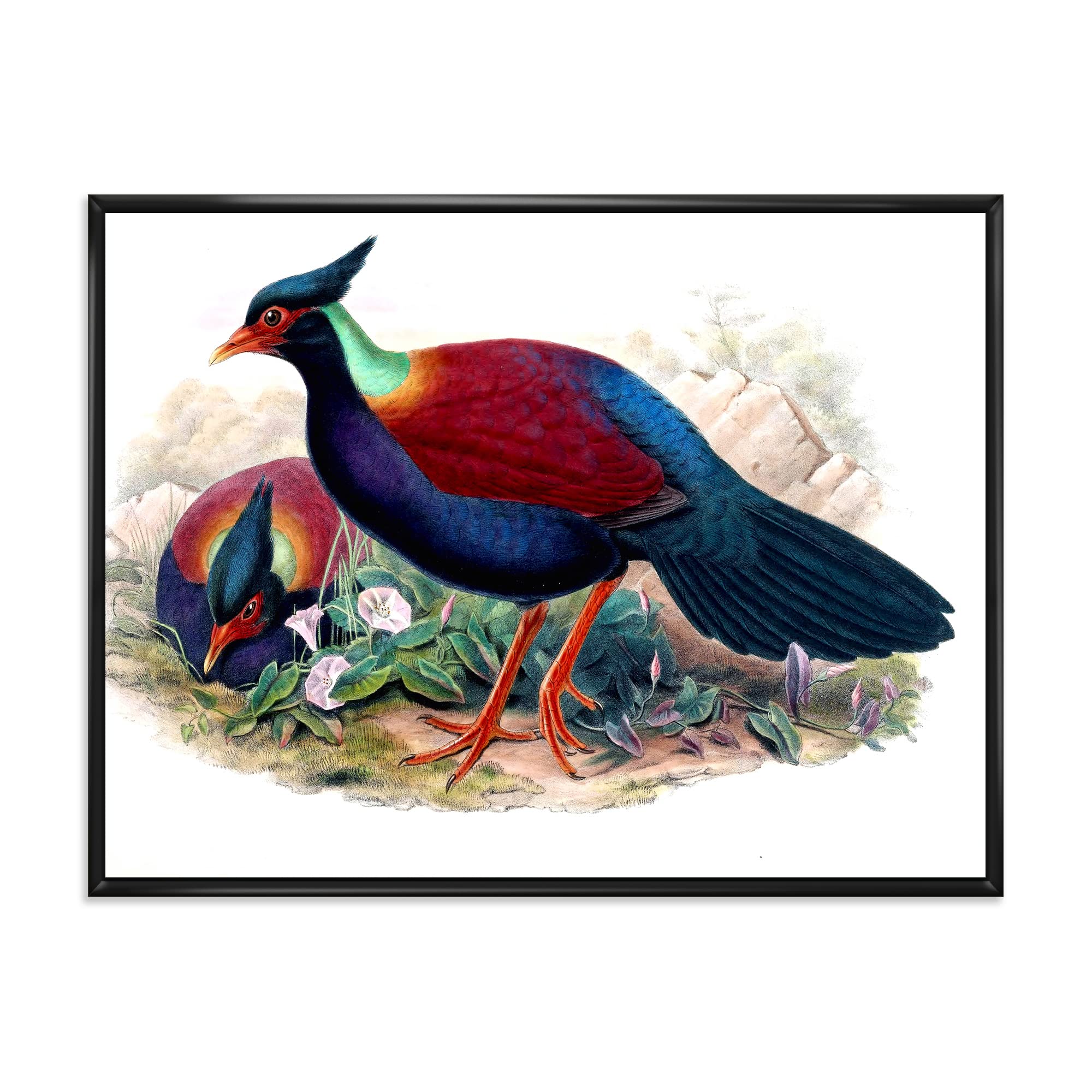 DesignQ Vintage Birds In The Wild II - Traditional Framed Canvas Wall Art Print - Nature Inspired Home Decor for Living Room, Bedroom & Office