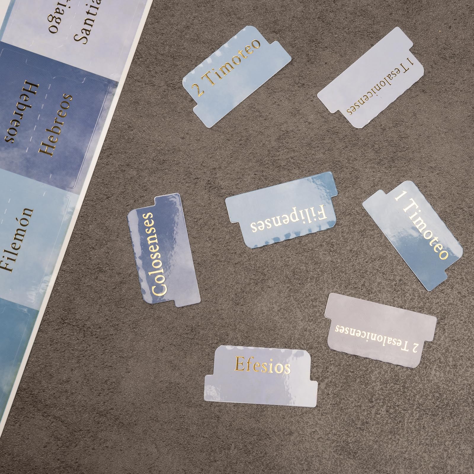 Lumintutu Laminated Bible Tabs - Large Print Bible Study & Journaling Supplies for Women & Men | Old & New Testament Index Tabs | Christian Gift for Bible Study Groups, Church Events & Personal Devotion (Spanish, Watercolor Blue)
