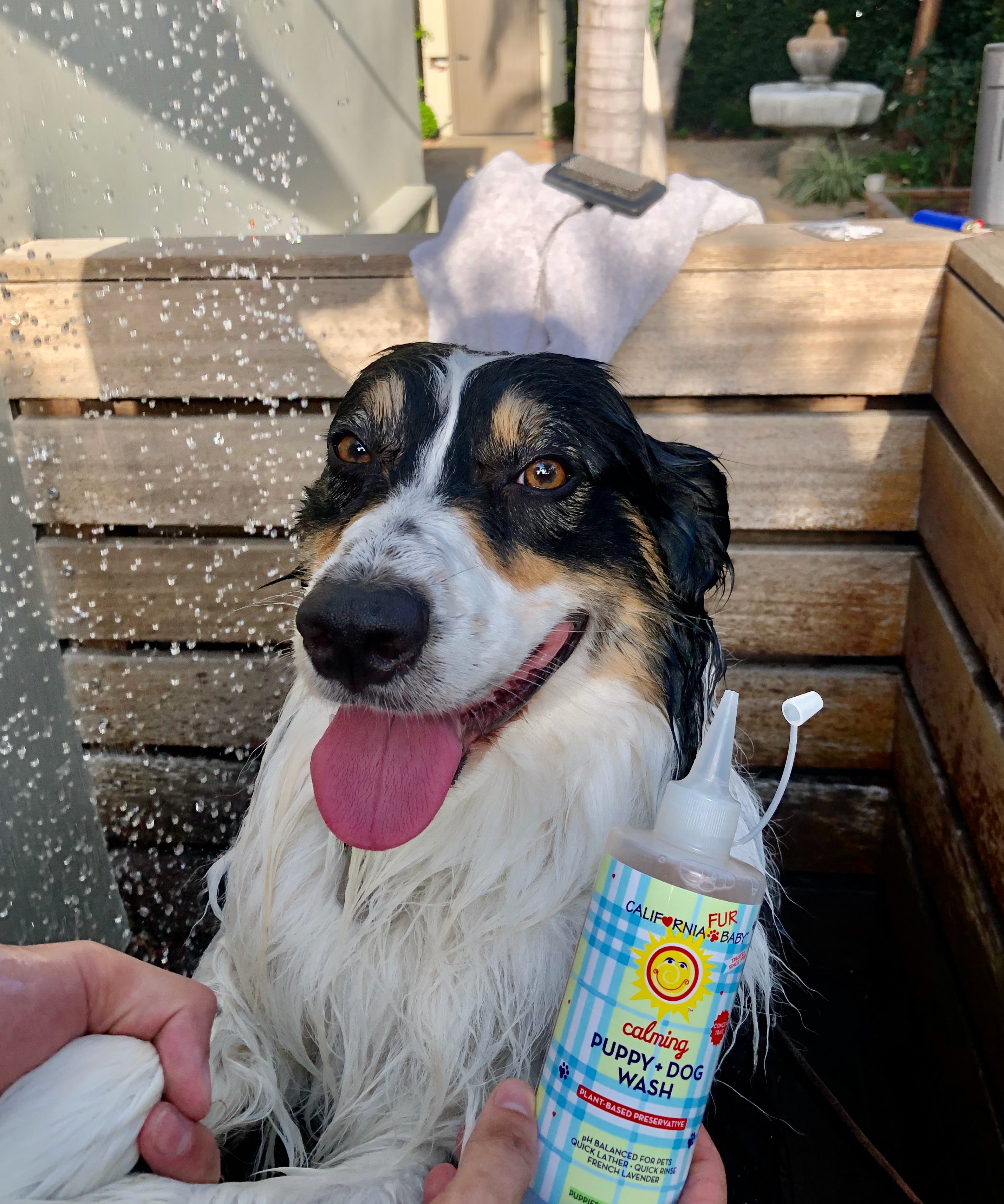 Calming™ Puppy & Dog Shampoo - Gentle Hypoallergenic Wash for Sensitive Skin | Perfect for Bath Time, Grooming & Stress Relief