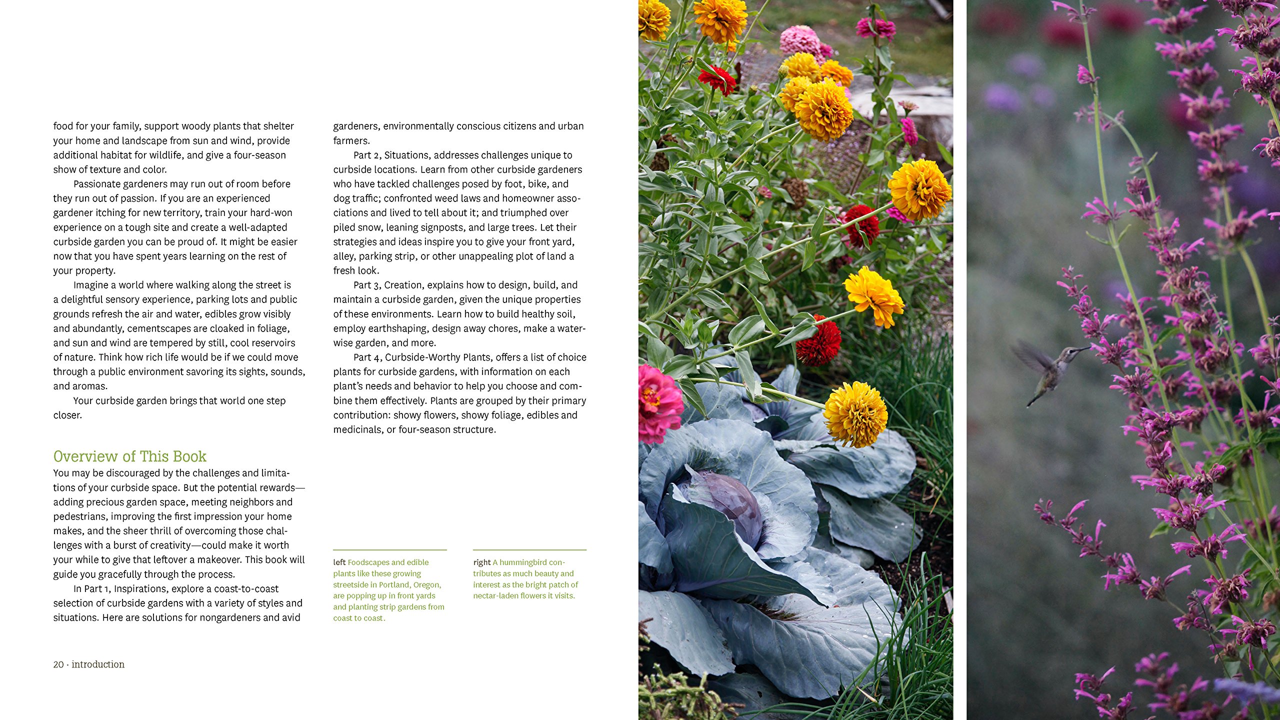 Hellstrip Gardening Guide: Create a Beautiful Paradise Between Sidewalk and Curb | Drought-Tolerant Landscaping Ideas for Urban Spaces