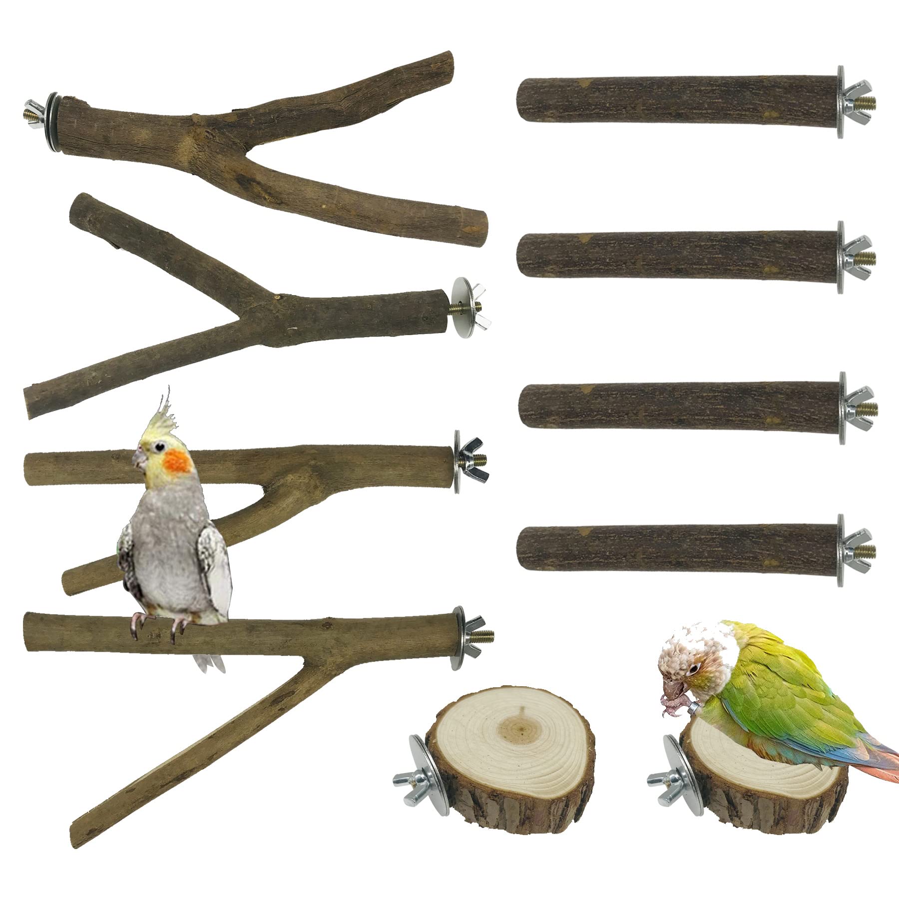 Allazone 10 PCS Natural Wood Bird Perch Stand Set - Safe Wooden Parrot Perches for Cockatiels, Budgies, Parakeets & Small Birds - Cage Accessories for Climbing, Playing & Resting - Perfect for Bird Cages & Aviaries