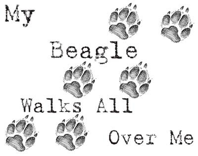 My Beagle Walks All Over Me Funny Dog Lover T-Shirt - Cute Beagle Owner Gift for Dog Walking & Pet Lovers