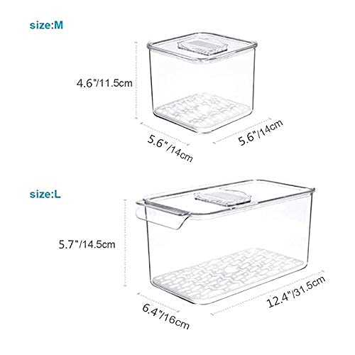 Large Airtight Food Storage Containers for Fridge - BPA Free Produce Keepers & Meal Prep Organizers | Perfect for Fresh Vegetables, Fruits, Leftovers & Bulk Food Storage