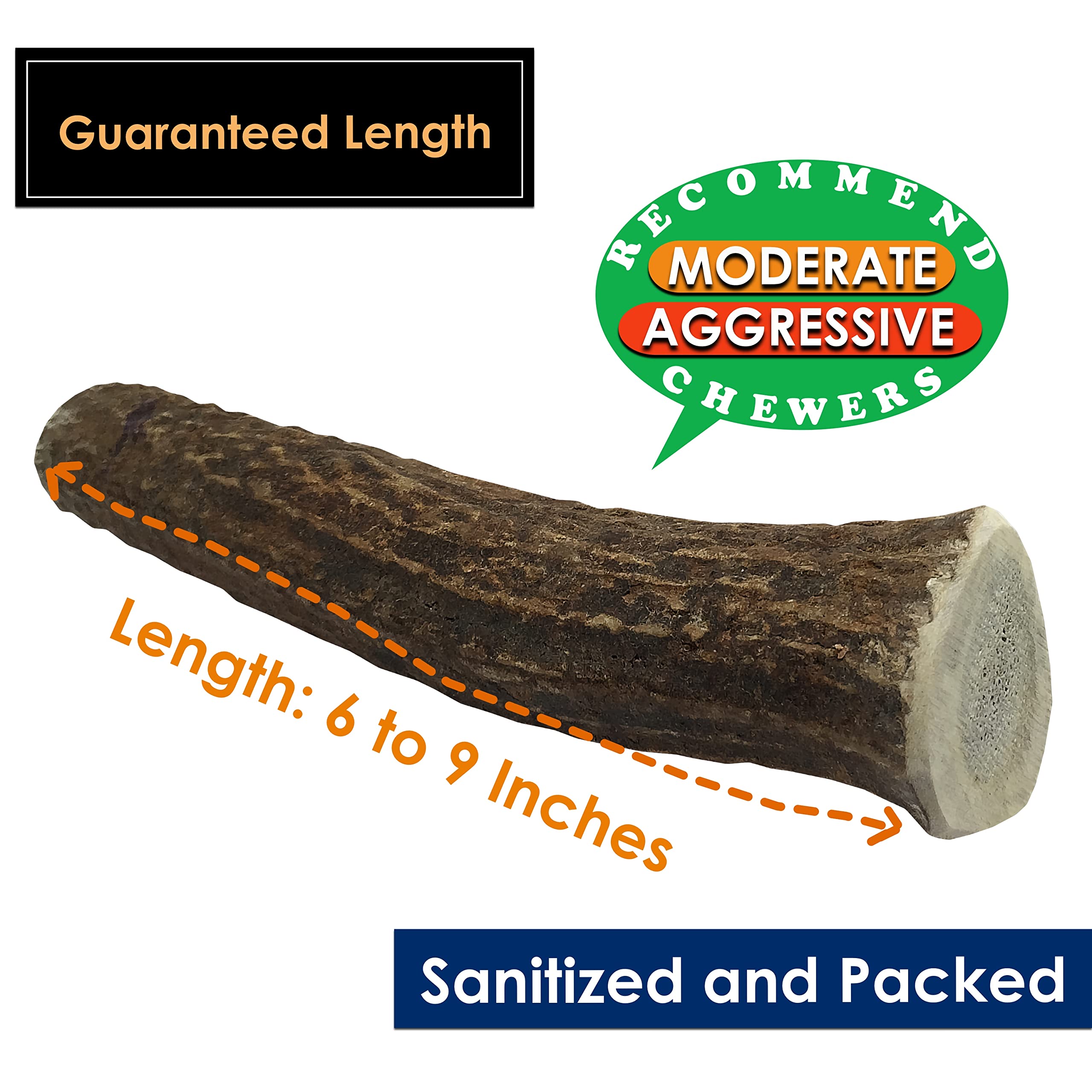 Premium USA-Collected Elk Antler Chews for Dogs - All Natural, A-Grade, Naturally Shed | Large Whole Antlers 4-Pack | Long-Lasting Dental Chews for Aggressive Chewers | Perfect for Teething Puppies & Adult Dogs