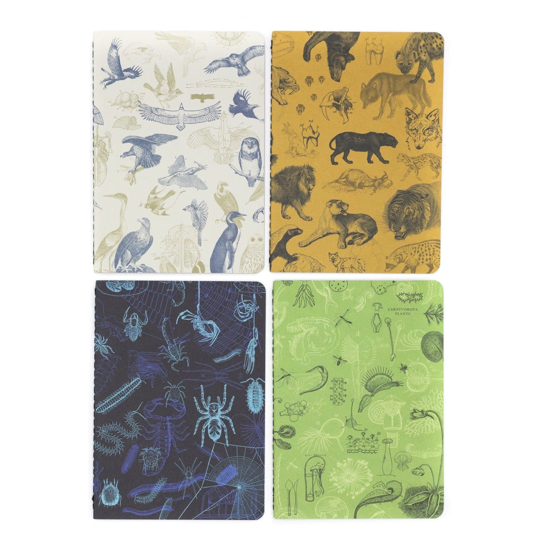 4-Pack Carnivore Diet Pocket Notebooks - Small Ruled Journals for Meat-Based Diet Tracking, Grocery Lists & Meal Planning - Perfect for Keto, Paleo & Low-Carb Lifestyles