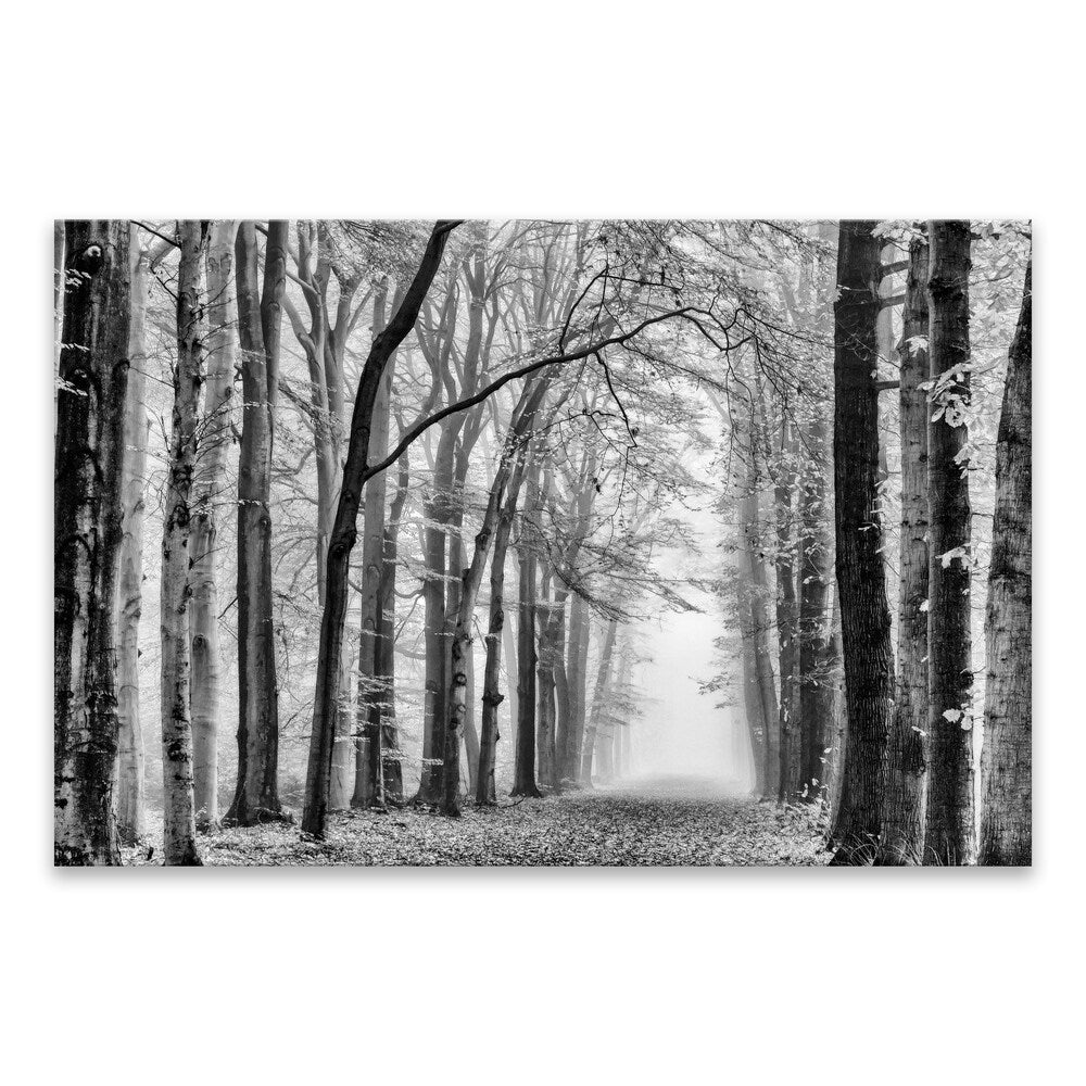 Black and White Forest Silver Metallic Canvas Wall Art - 36x24 Inches Modern Abstract Painting for Living Room, Bedroom & Office Decor
