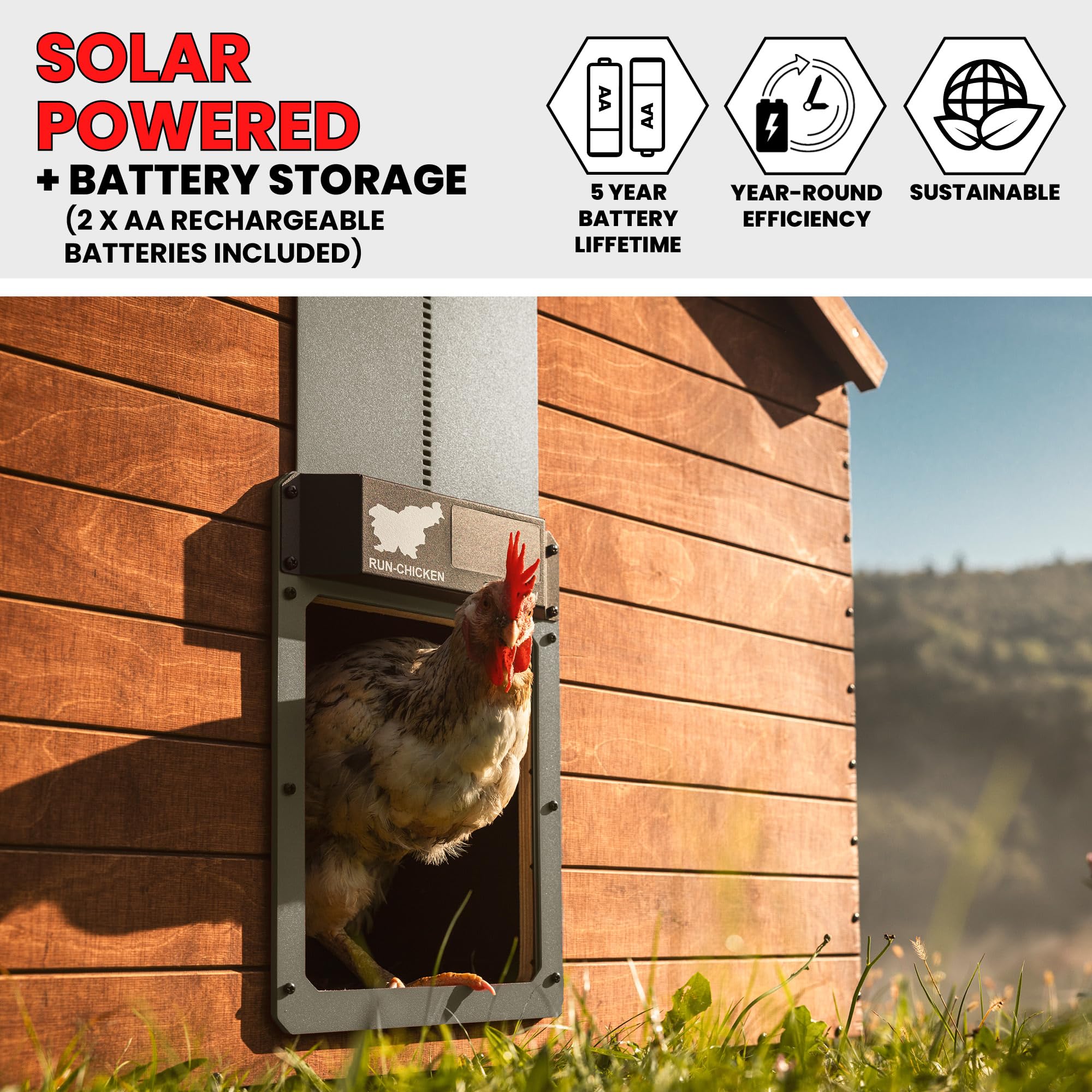 Solar Powered Automatic Chicken Coop Door - Programmable Electric Poultry Door with Timer & Light Sensor | Battery Backup | Gray RUN-CHICKEN Door | Perfect for Backyard Chicken Coops, Poultry Farms & Free-Range Hen Houses