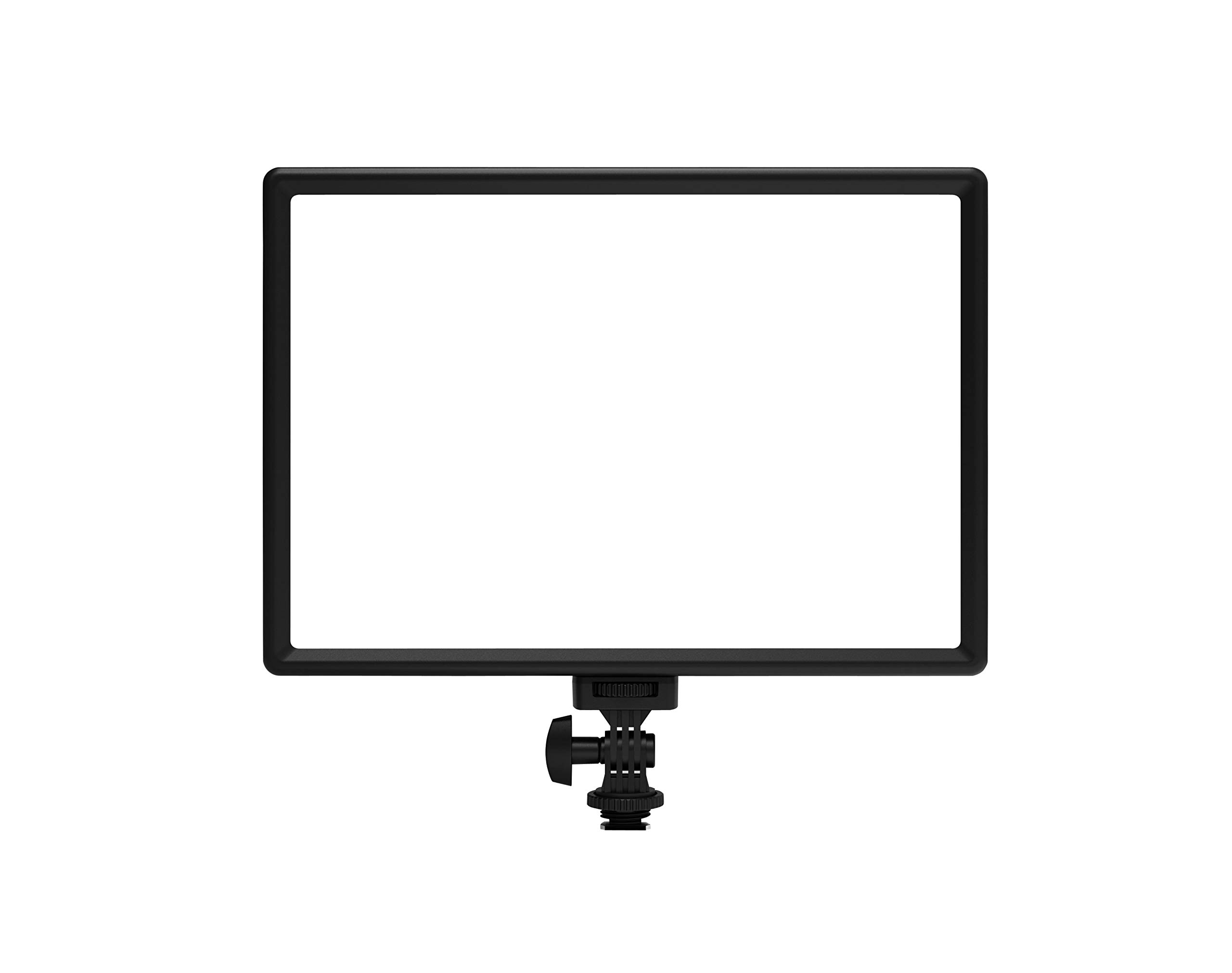 RALENO LED Video Light - 3200K-5600K Adjustable White Camera Light with 4000mAh Battery & Type-C USB for Photography, Video Recording, Live Streaming - High CRI>95 for Outdoor & Indoor Shooting