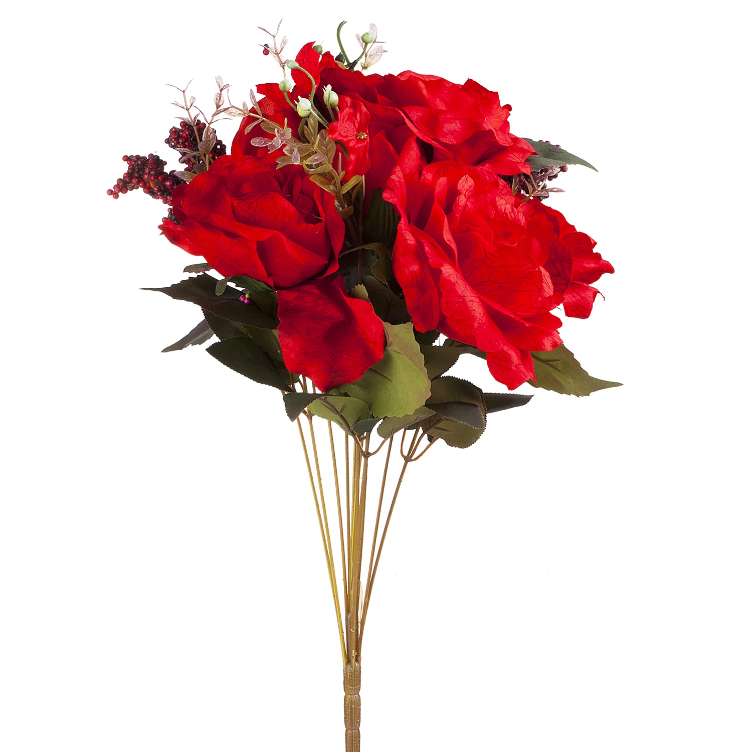 Enova Floral 20