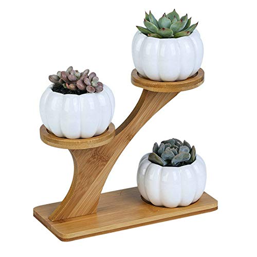 Pumpkin-Shaped Ceramic Succulent Planter with Bamboo Tray - Cute Home Decor for Fall & Halloween - Perfect for Tabletop, Windowsill, and Office Desk Decorations