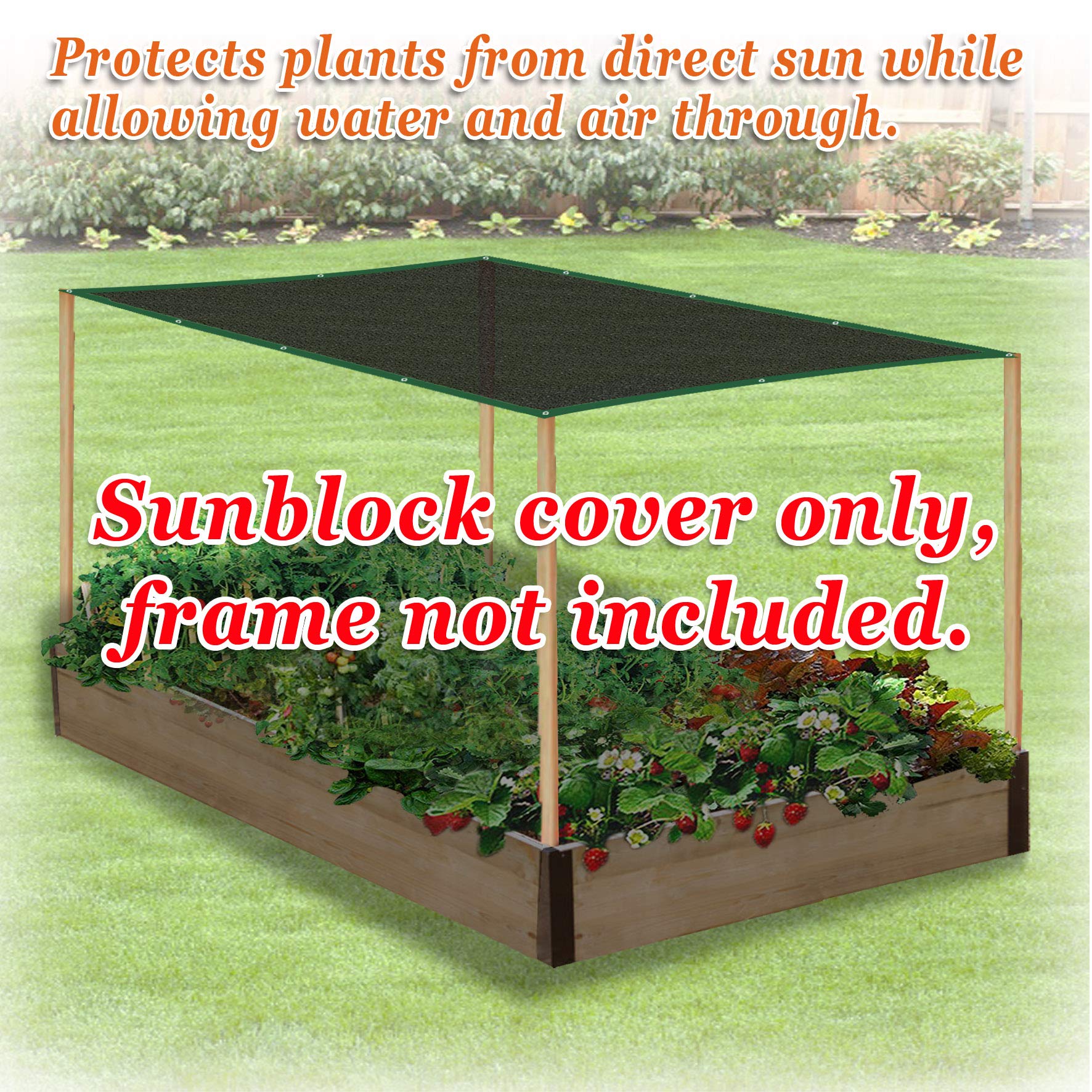 80% UV Block Shade Cloth - Heavy Duty Sun Protection Fabric with Reinforced Buttonholes for Greenhouse, Garden, Pool & Patio Cover (10ft x 10ft) - Ideal for Plant Protection, Outdoor Shade & Sun Safety
