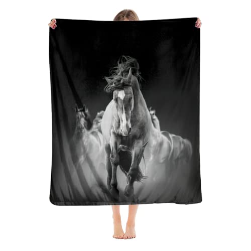 Black and White Horse