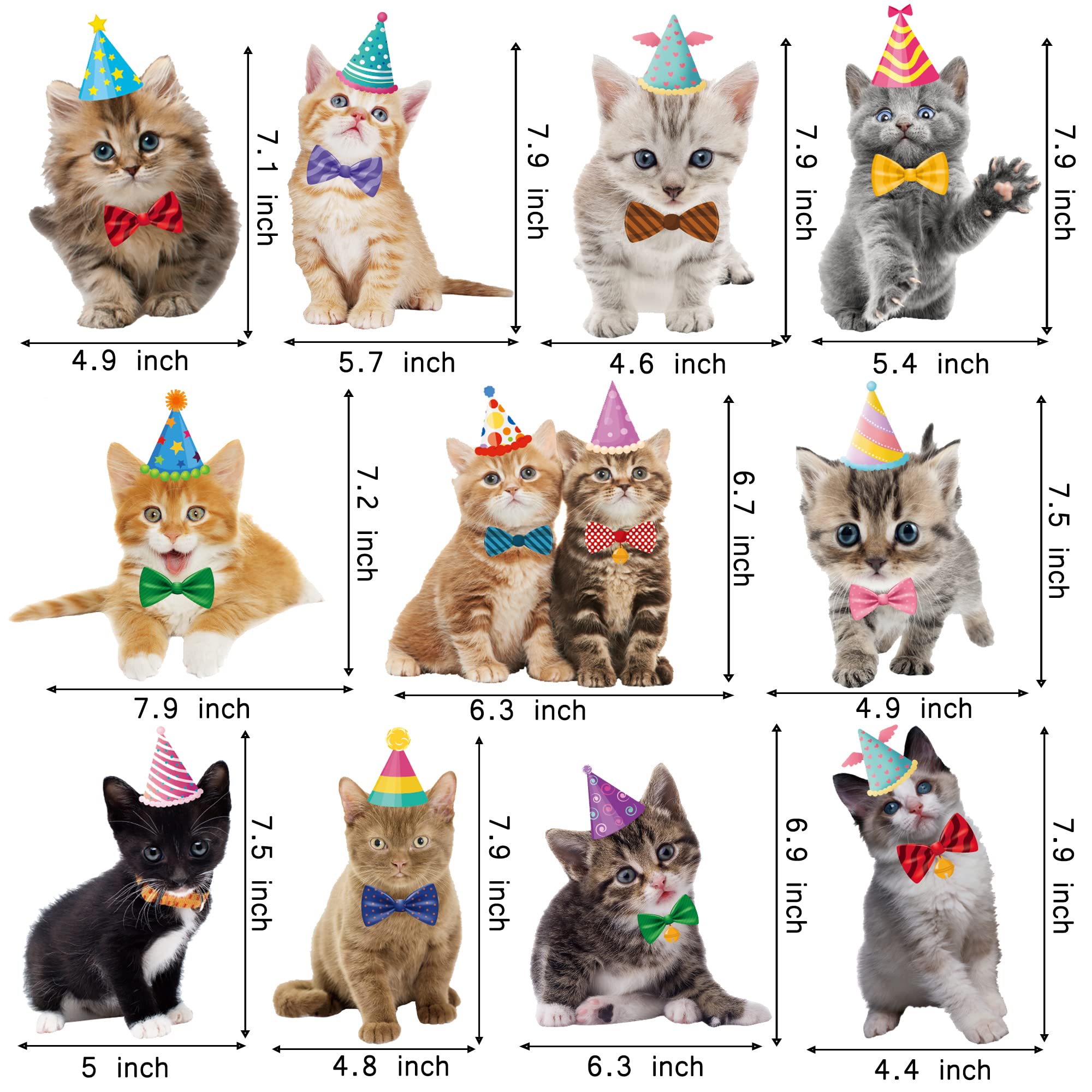 11Pcs Honeycomb Cat-Themed Party Decorations - Pet Birthday Centerpieces for Tables, Baby Shower & Kids Party Supplies | Perfect for Kitten Birthday Parties, Cat Lover Events & Themed Celebrations