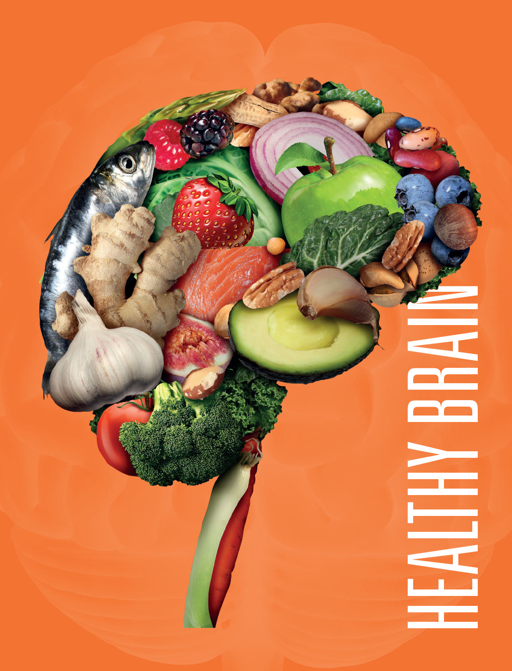 Healthy Brain: Boost Cognitive Function & Mental Clarity - 9781632357977 | Improve Focus for Work, Study & Daily Life