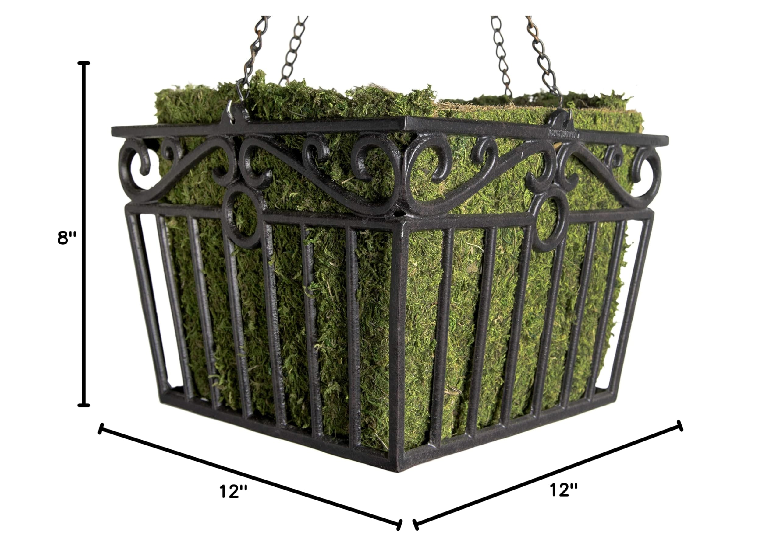 Black Hammer London Square Metal Plant Hanger with Moss Liner - Perfect for Balcony & Garden Decor