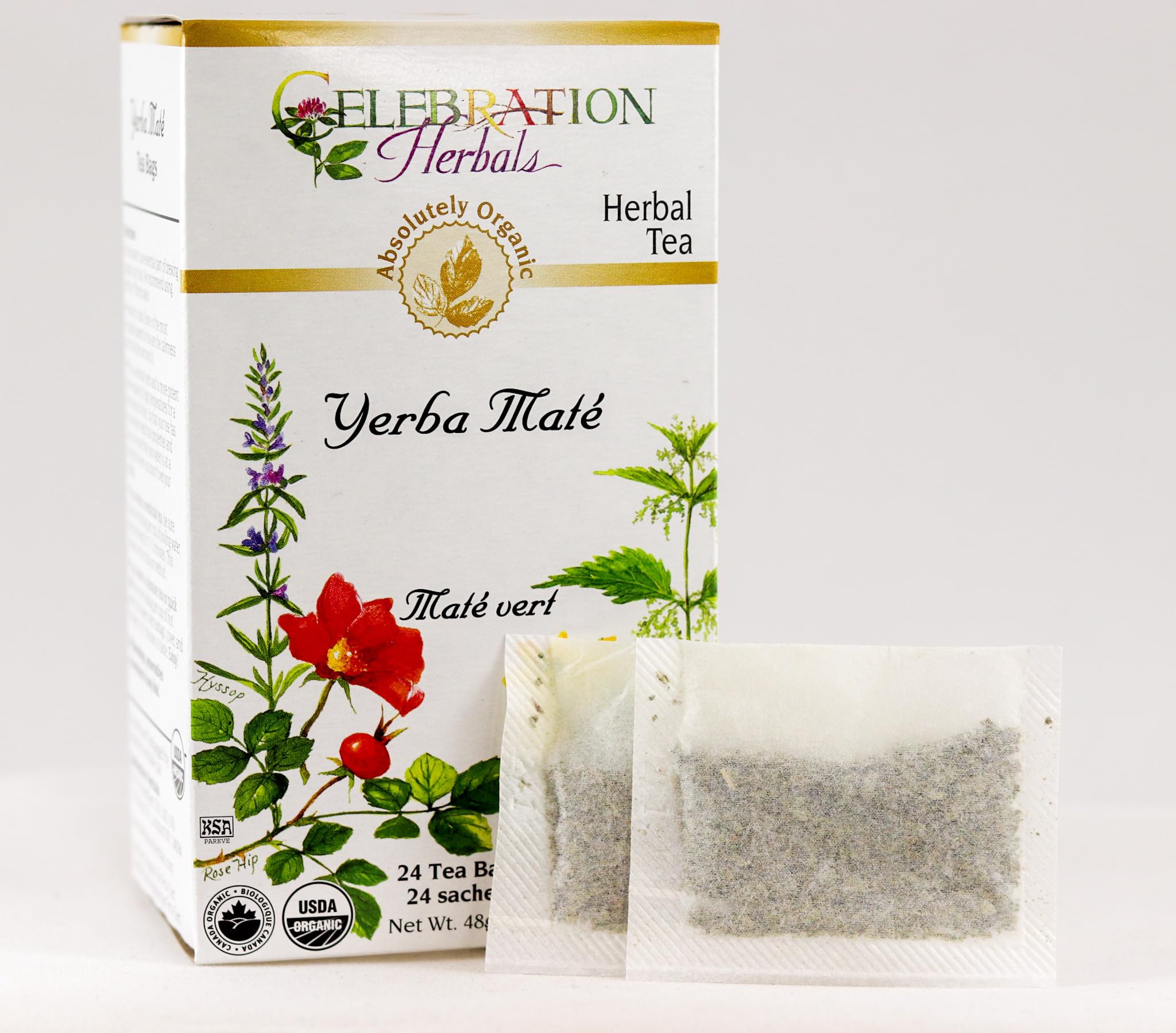 Organic Yerba Mate Tea - 24 Tea Bags | Natural Energy Boost, Rich in Antioxidants | Perfect for Morning Focus, Workout Recovery & Relaxation