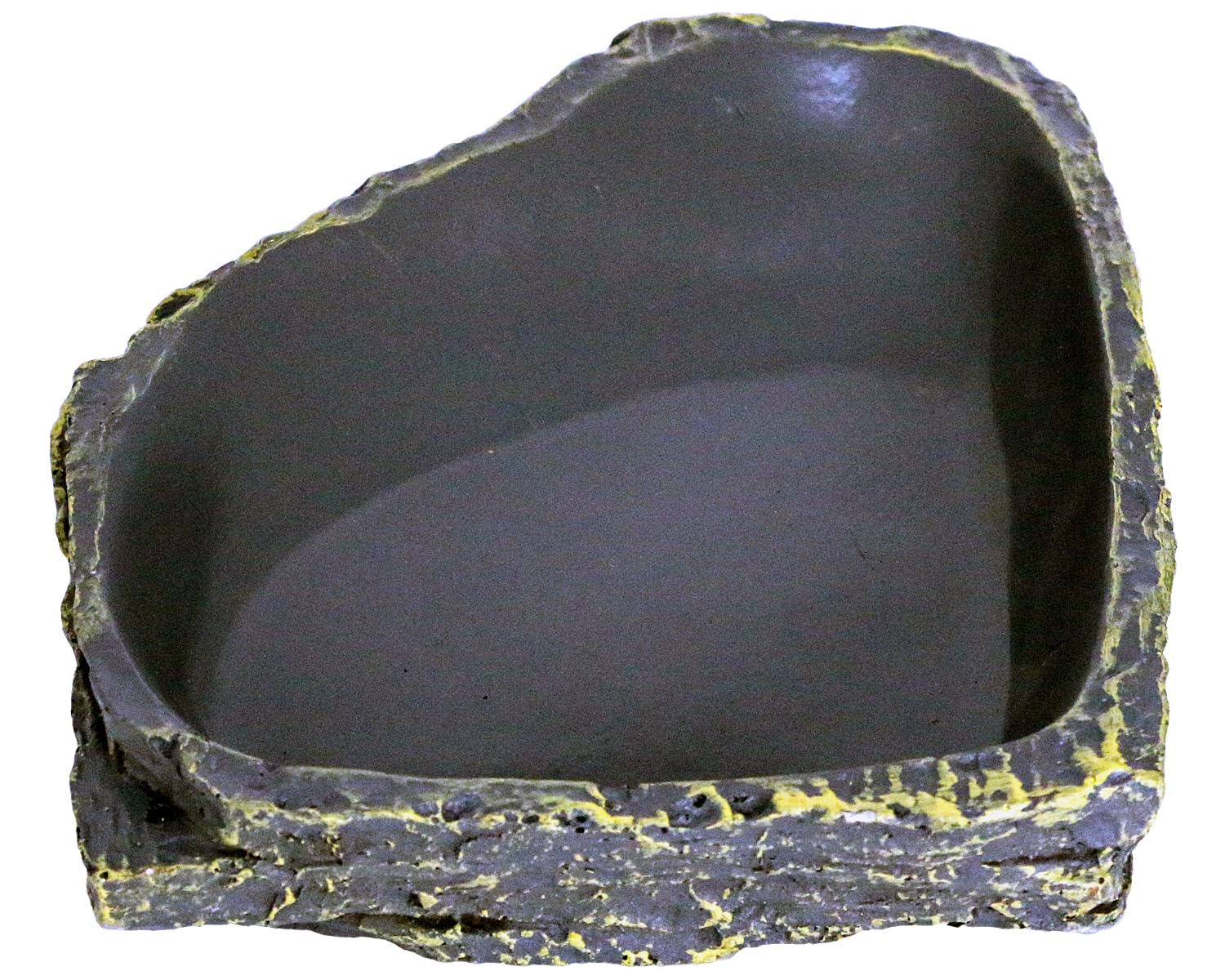 Premium Reptile Feeding Dish & Water Bowl - Durable Corner Food Bowl for Bearded Dragons, Lizards, Geckos, Tortoises, Frogs & Hermit Crabs - Perfect for Terrariums, Habitats & Amphibian Tanks - Easy Clean Pet Accessories for Reptile Care