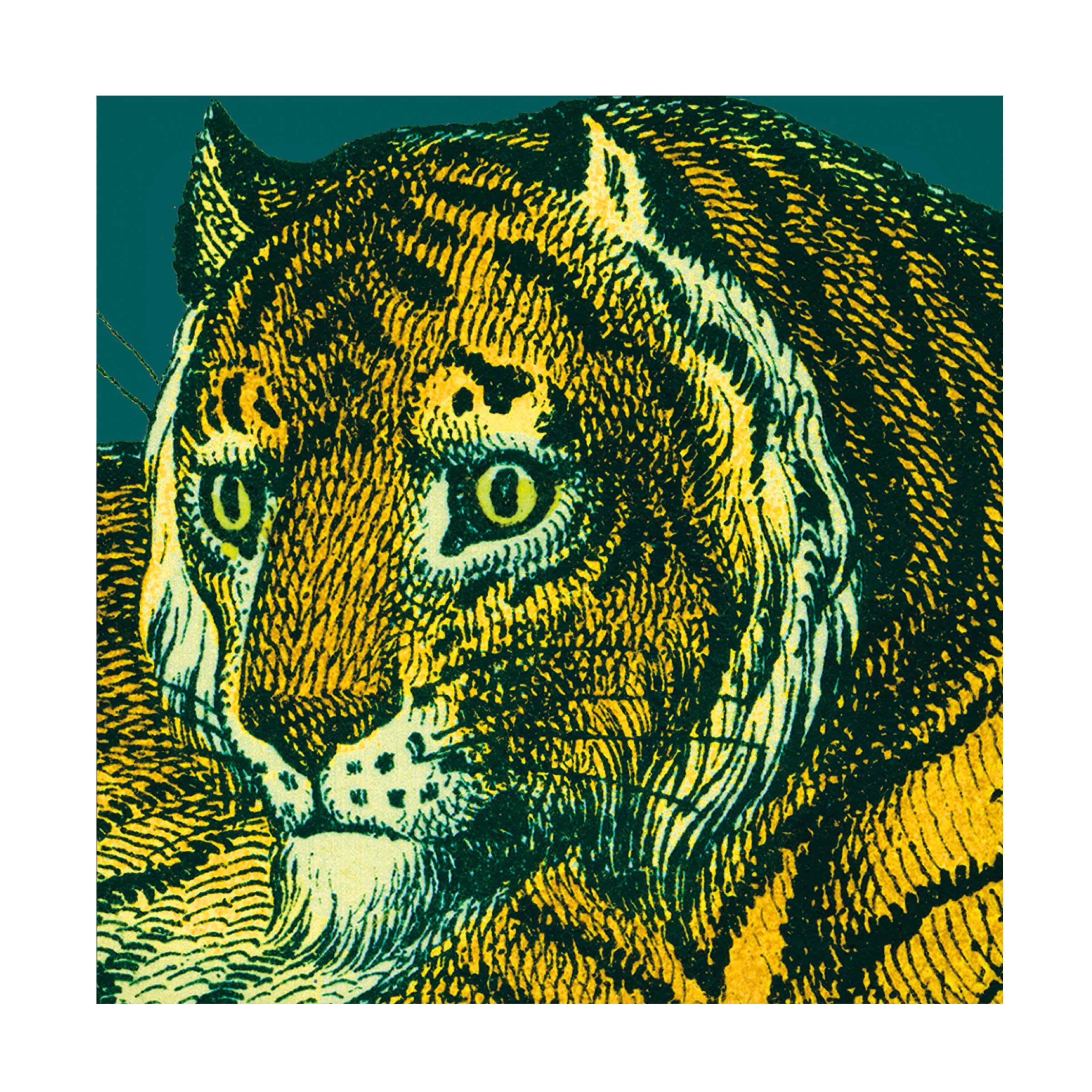 Trademark Fine Art 'Jungle Flair II' Canvas Wall Art by Wild Apple - Tropical Home Decor for Living Room, Bedroom & Office