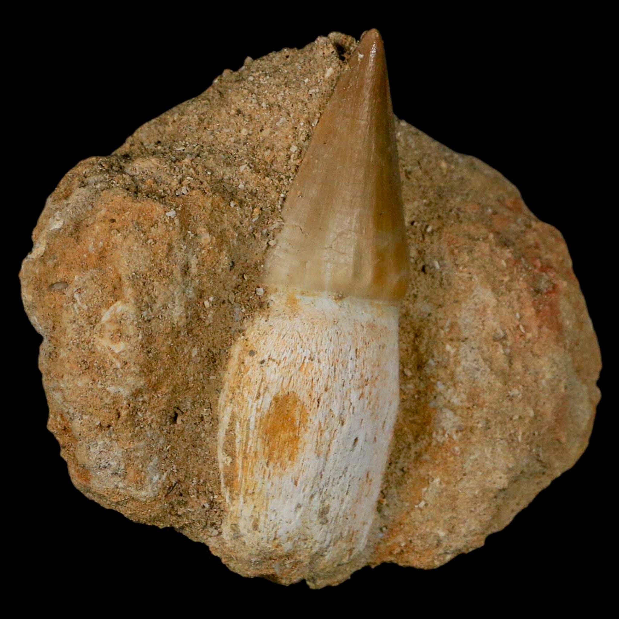 2.6