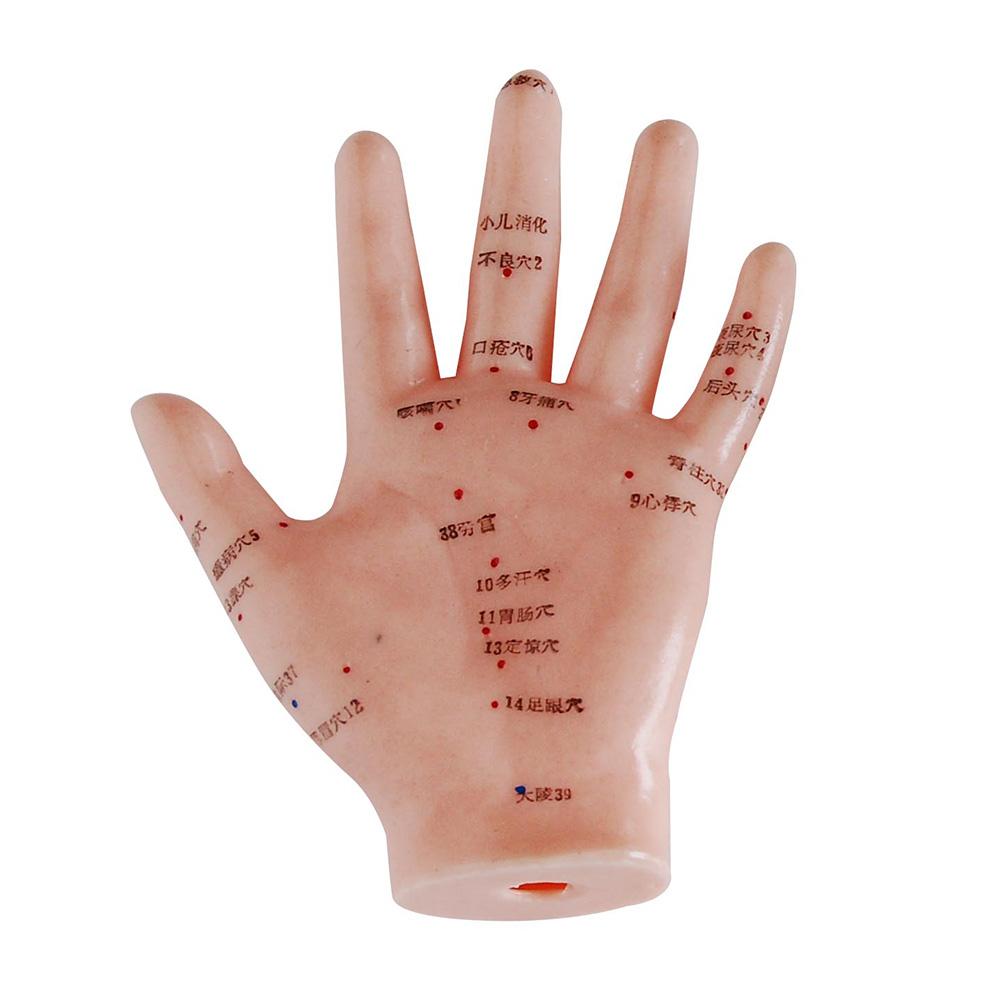 66Fit Hand Acupuncture Model - 13cm Acupressure Therapy Tool for Pain Relief, Stress & Relaxation - Perfect for Acupuncturists, Massage Therapists & Home Use
