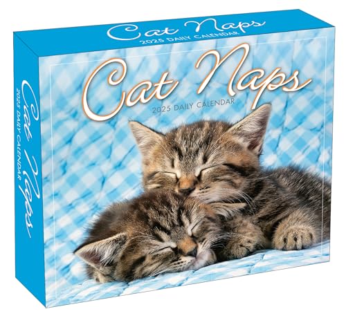 Cat Naps