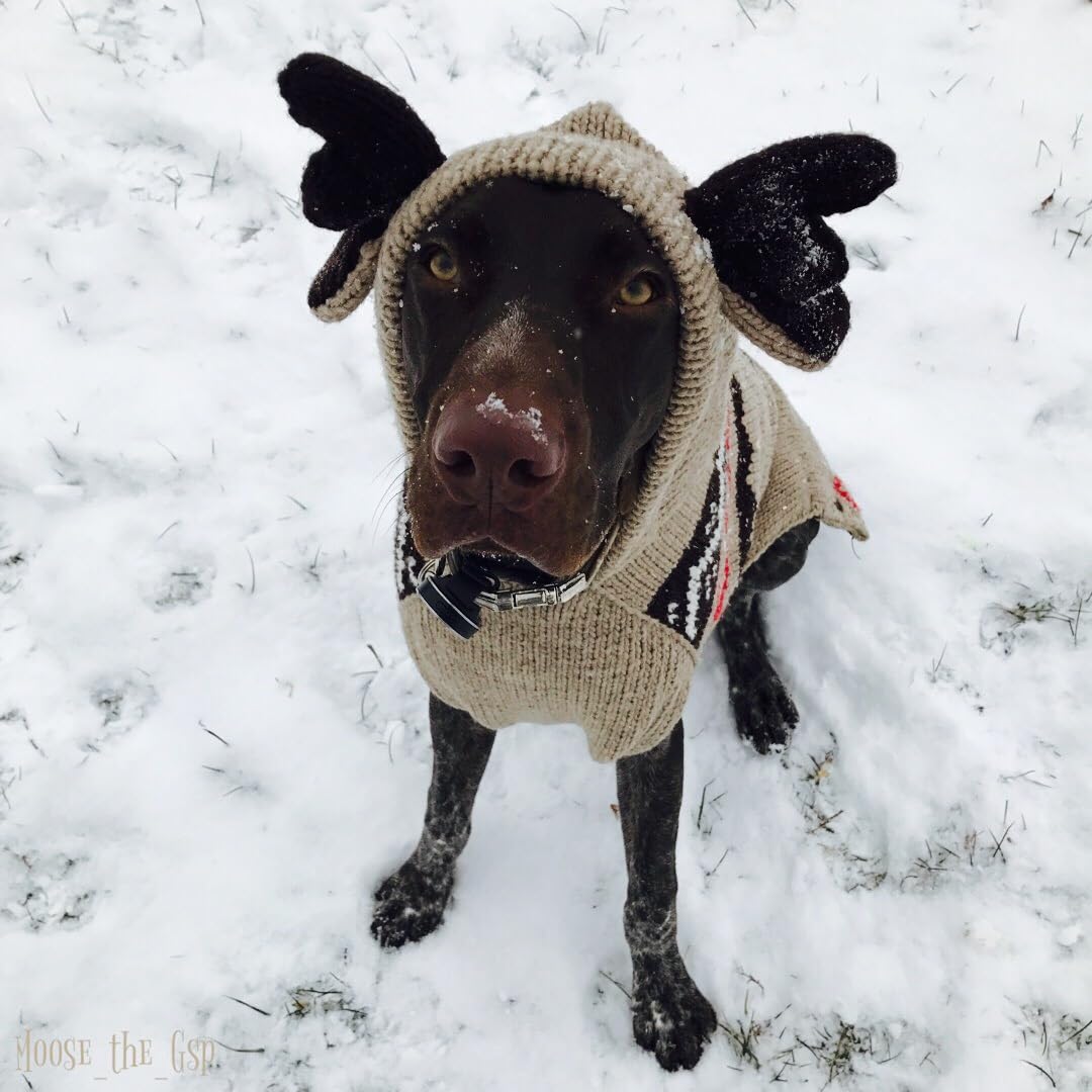Chilly Dog Moosey Hoodie for Small Dogs - Cozy Winter Fleece Sweater with Adorable Moose Design - Perfect for Cold Weather Walks & Indoor Comfort