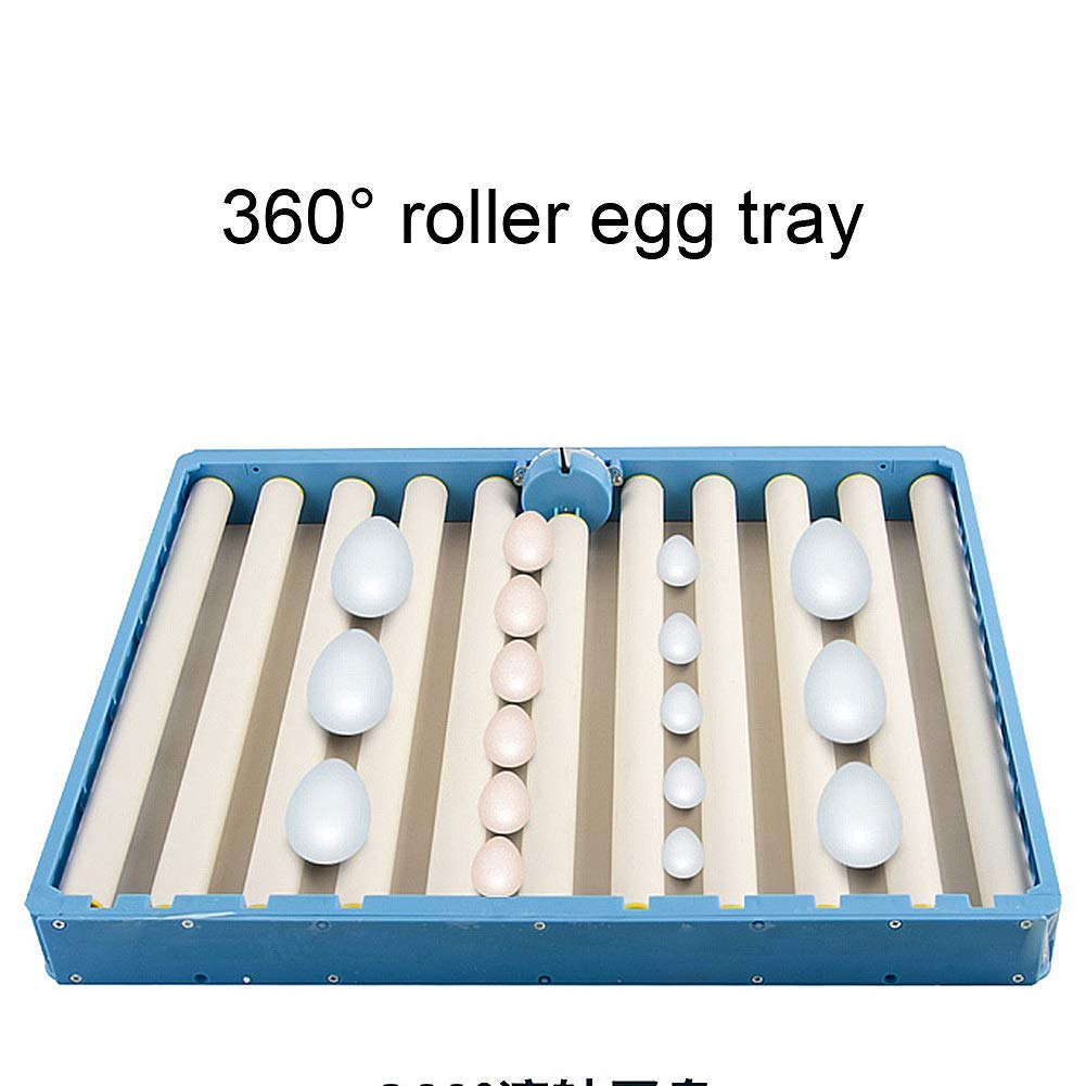 128 Egg Fully Automatic Poultry Incubator with Temperature & Humidity Control, Auto Water Refill for Chicken, Goose, Duck Eggs - 220V Hatcher for Home Farming & Backyard Poultry Breeding