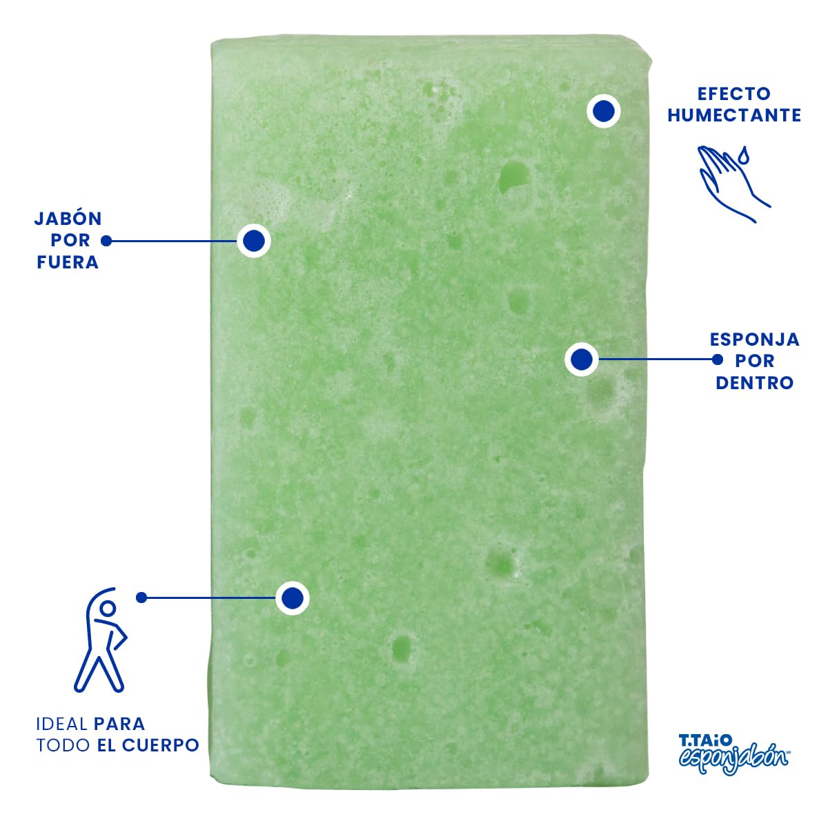 Aloe Vera Soap Sponge 10 Pack - Gentle Exfoliating & Cleansing for Face & Body - Perfect for Sensitive Skin & Daily Skincare Routine
