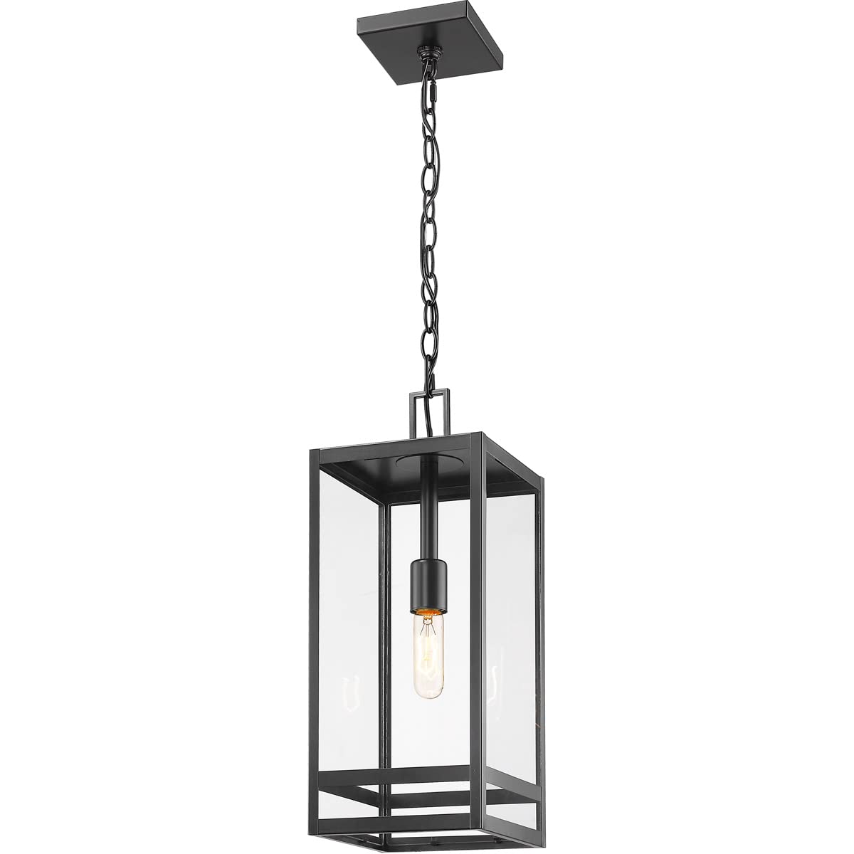 Z-Lite 596CHB-BK Nuri Outdoor Ceiling Light Fixture - 1-Light 100W Black Weatherproof - Perfect for Patio, Porch, Garden & Entryway Lighting